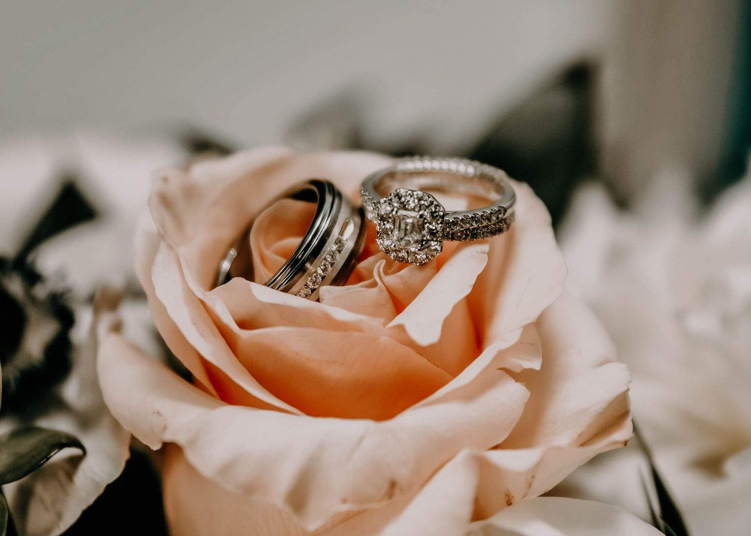 Close-up detail of delicate peach rose petals with wedding rings.