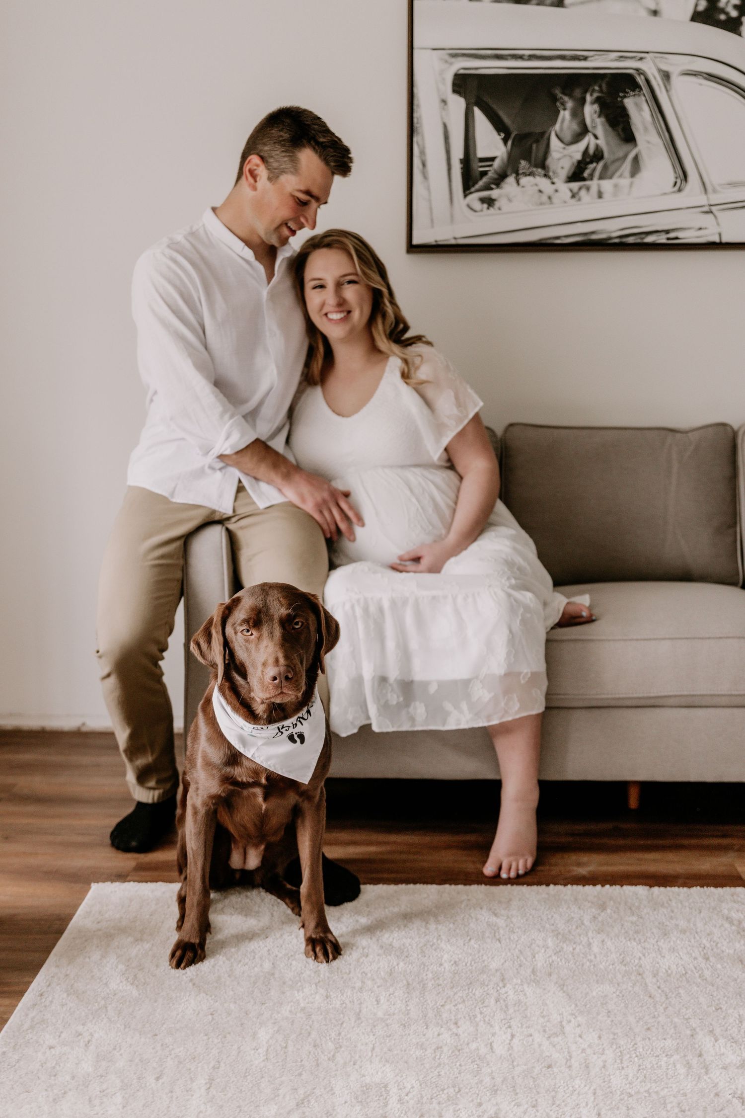 Pregnant couple in white sitting on gray sofa with chocolate Labrador wearing bandana, maternity photo session at home.
