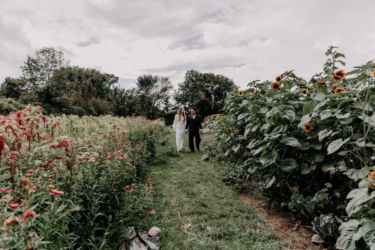 Garden wedding with couple walking between rows of sunflowers and wildflowers.