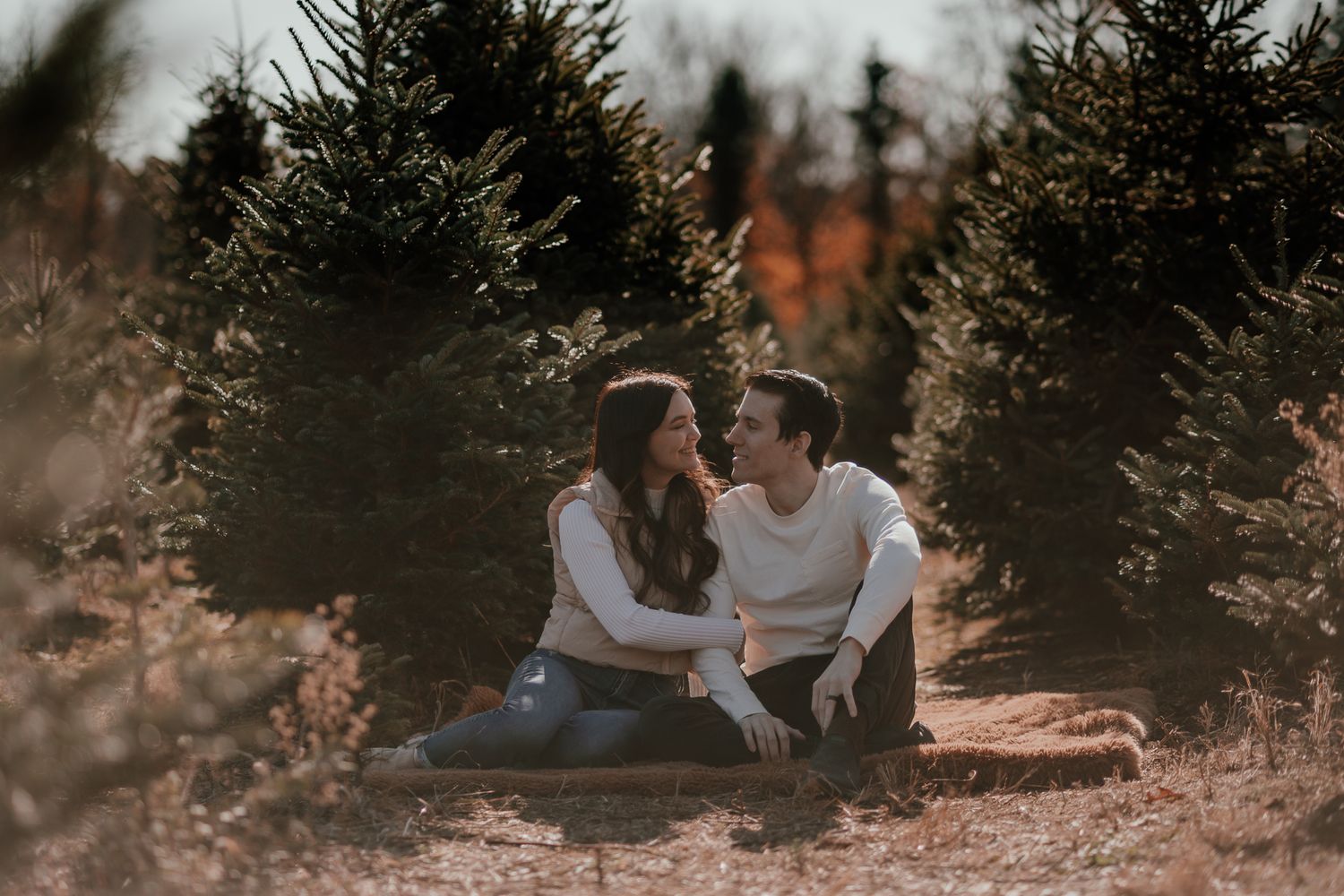 Couple sitting together on ground between rows of evergreen trees during sunset portrait session.