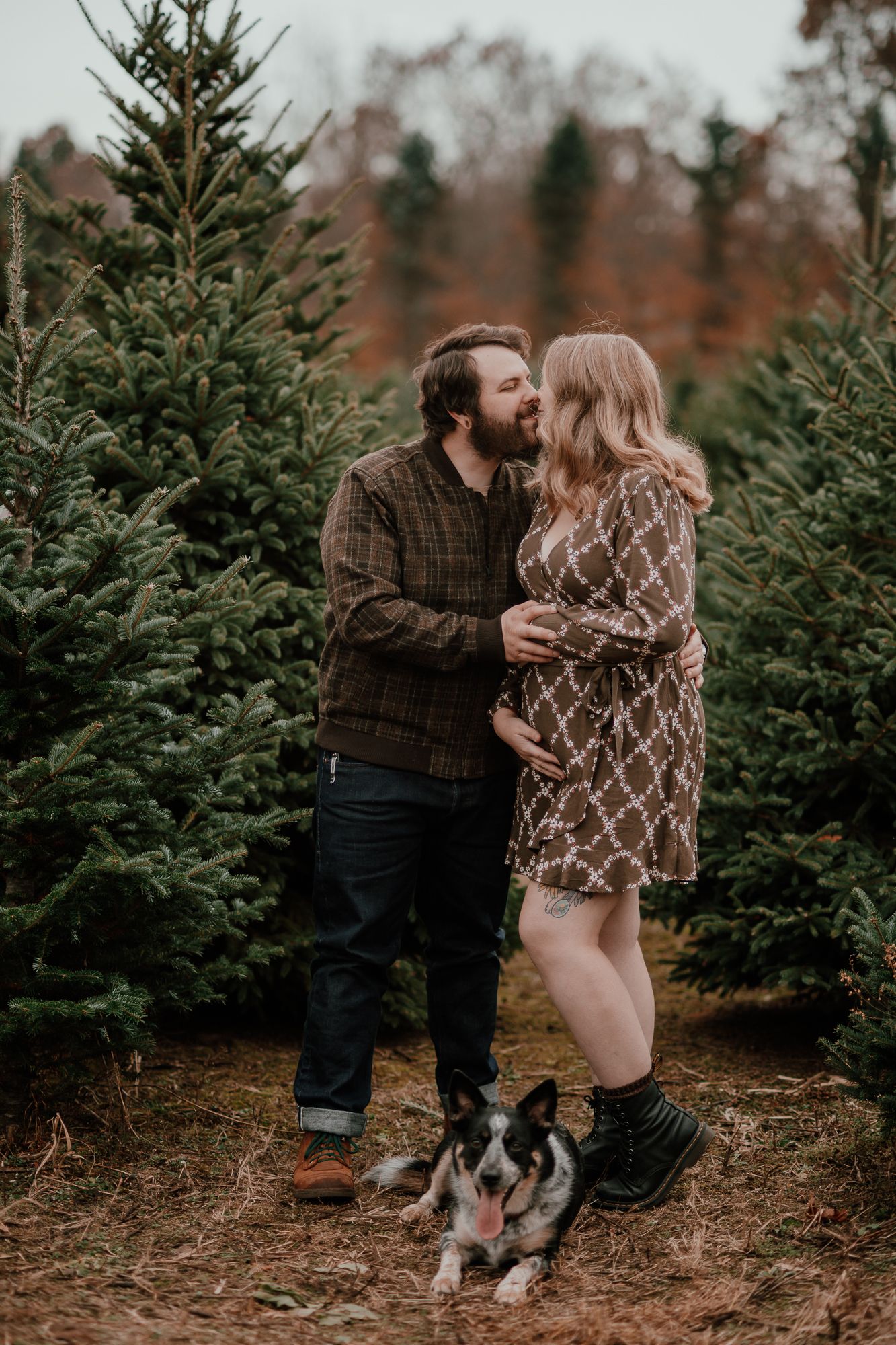 Intimate moment between couple at Christmas tree farm with dog resting at their feet.
