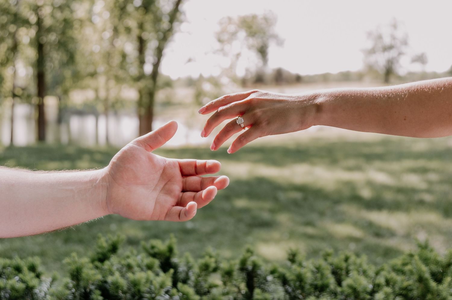 Two hands reaching toward each other across a green park background, symbolizing connection and unity.