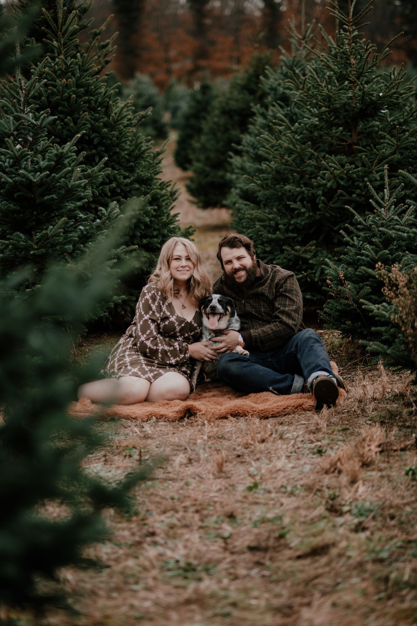 Couple sitting on blanket with dog at Christmas tree farm during engagement photoshoot.