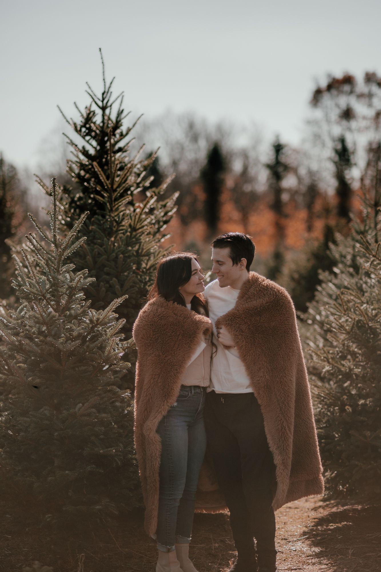 Couple sharing tender moment wrapped in brown blanket at Christmas tree farm.