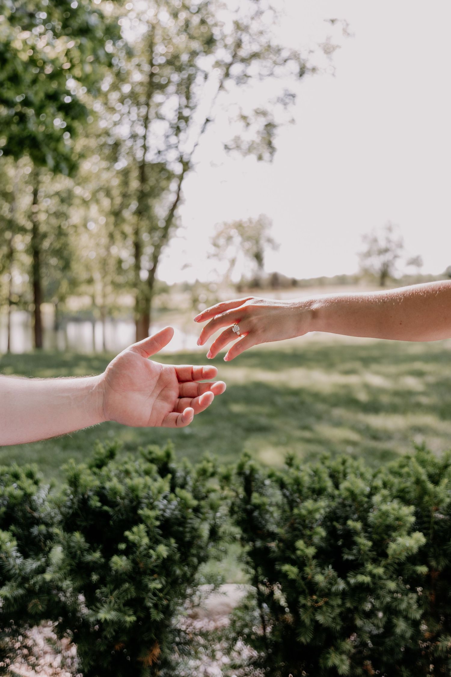 Two hands reaching toward each other in a sunlit park with lush green trees and shrubs in the background.