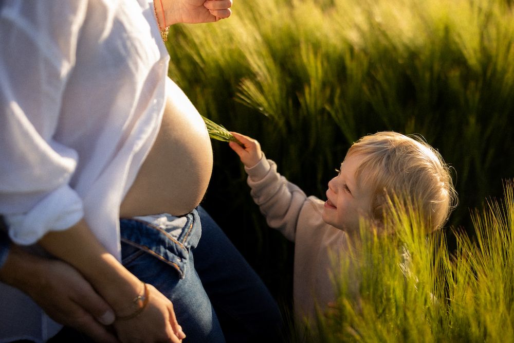 Sweet interaction among tall wheat stalks in warm evening light.