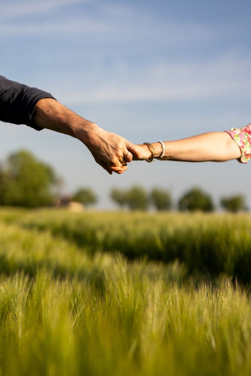 Two hands joining together in a wheat field against a blue summer sky.