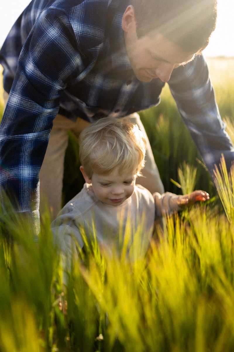 Parent and child explore together in golden wheat field at sunset.