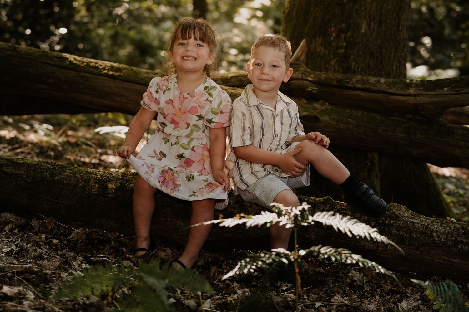 Two children sitting together on a fallen tree trunk in a forest setting.