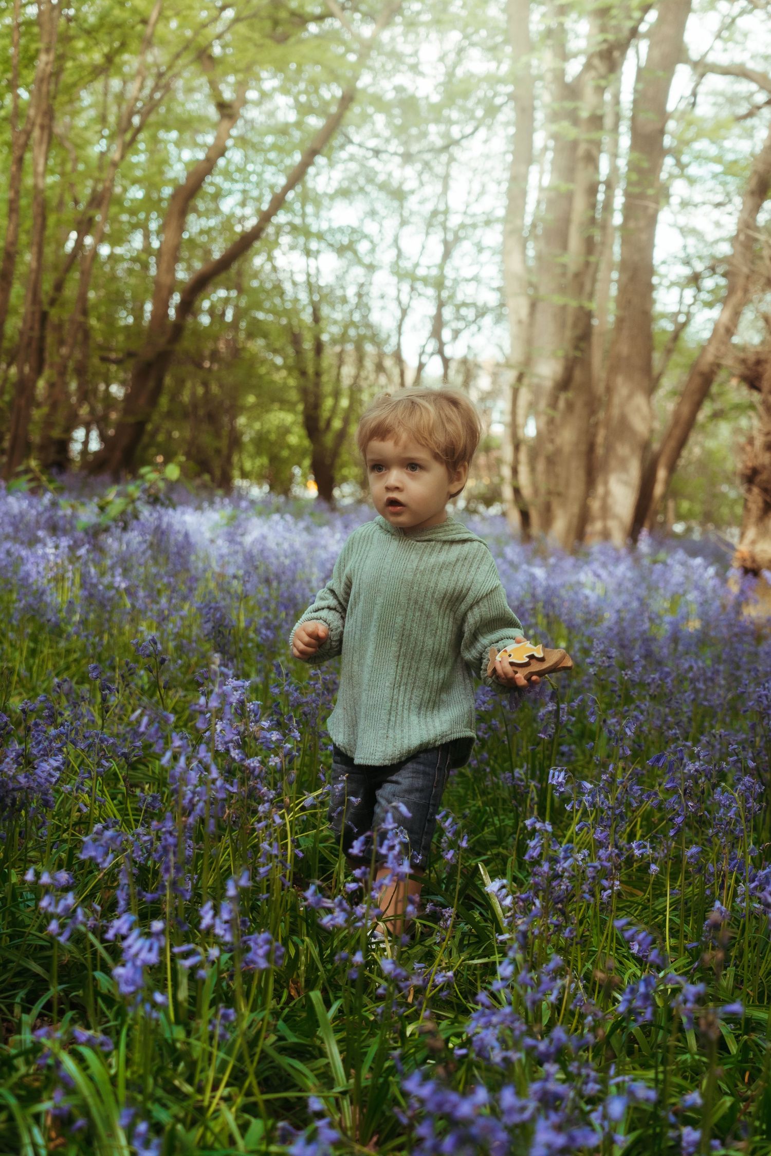 Child exploring through a sea of purple bluebells in a spring forest.