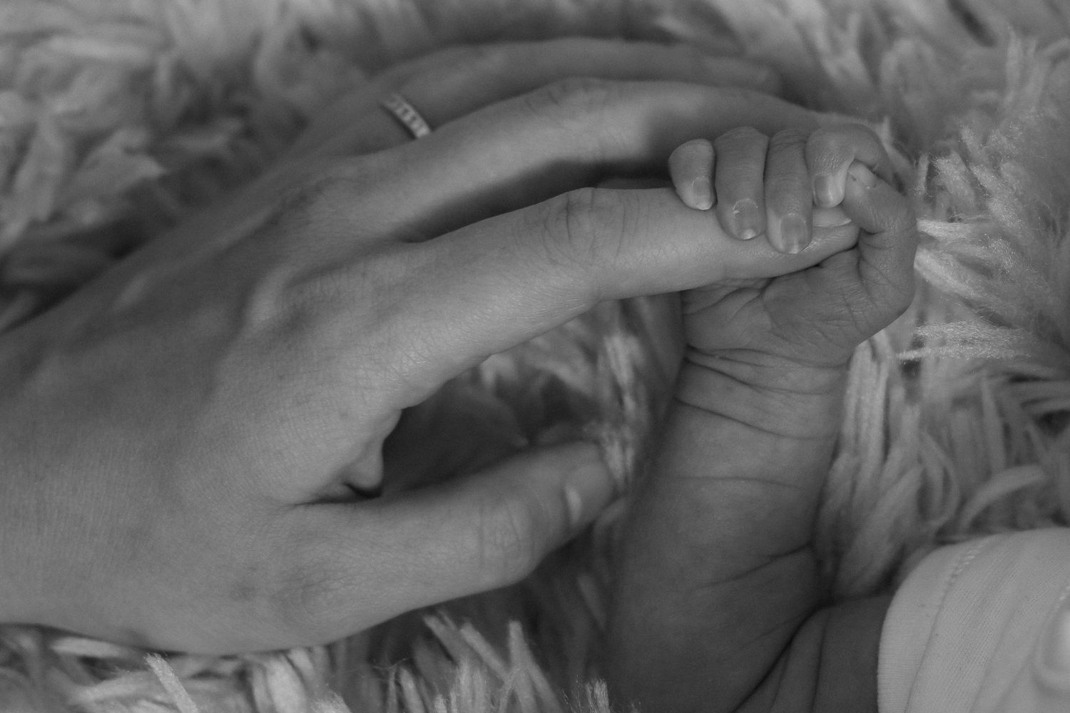 A close-up black and white image of tiny baby fingers grasping an adult hand.