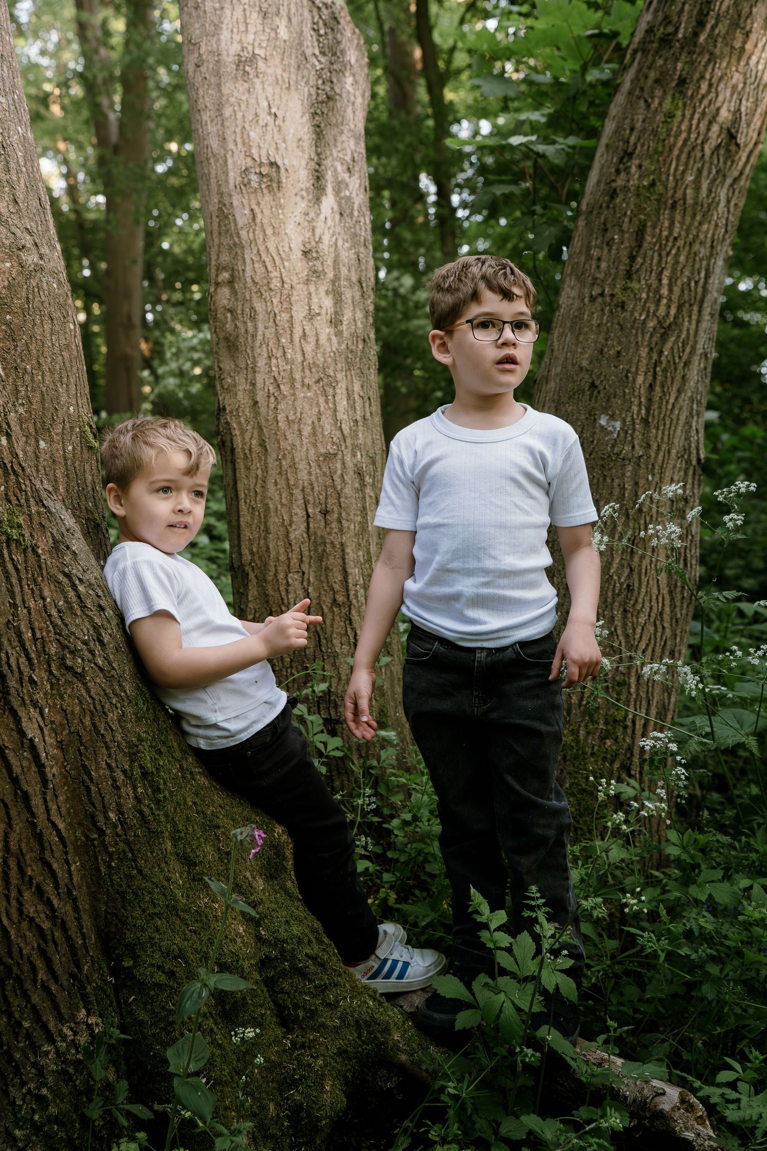 Children exploring and playing among tall trees in a lush woodland setting.