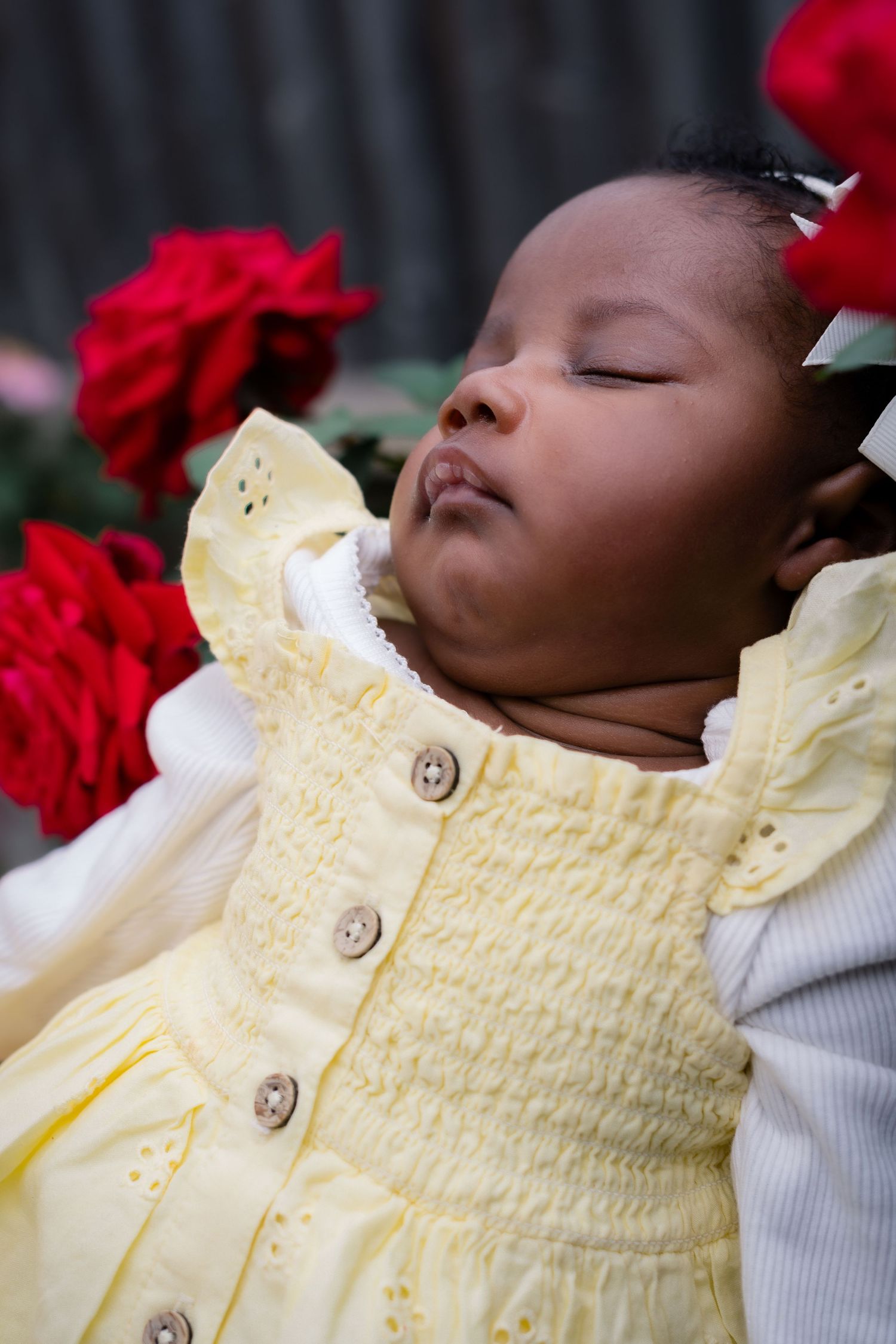 Peaceful sleeping baby in yellow smocked dress with red roses in background.