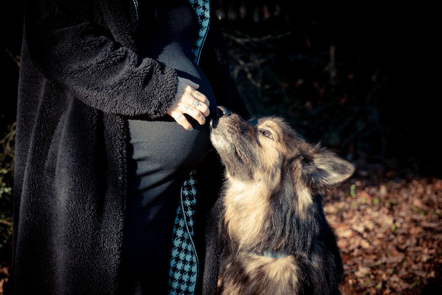 Person in dark coat with German Shepherd dog reaching up for treats.