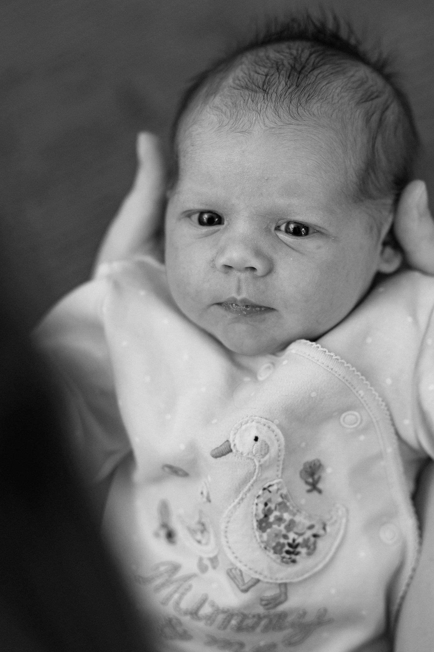 Black and white portrait of a newborn infant wearing a white onesie with a swan design.