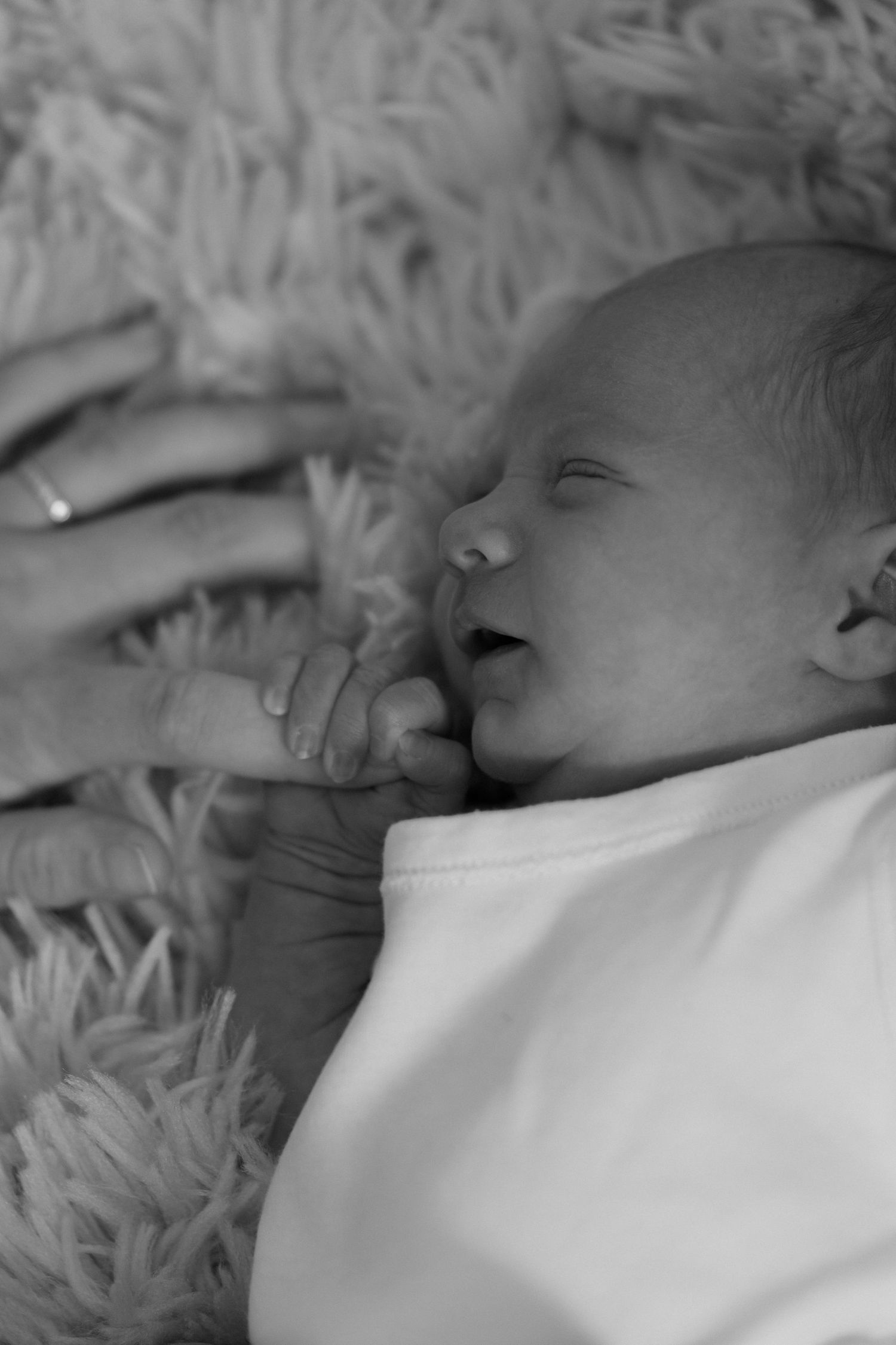 A black and white portrait of a sleeping newborn grasping a hand on fuzzy fabric.