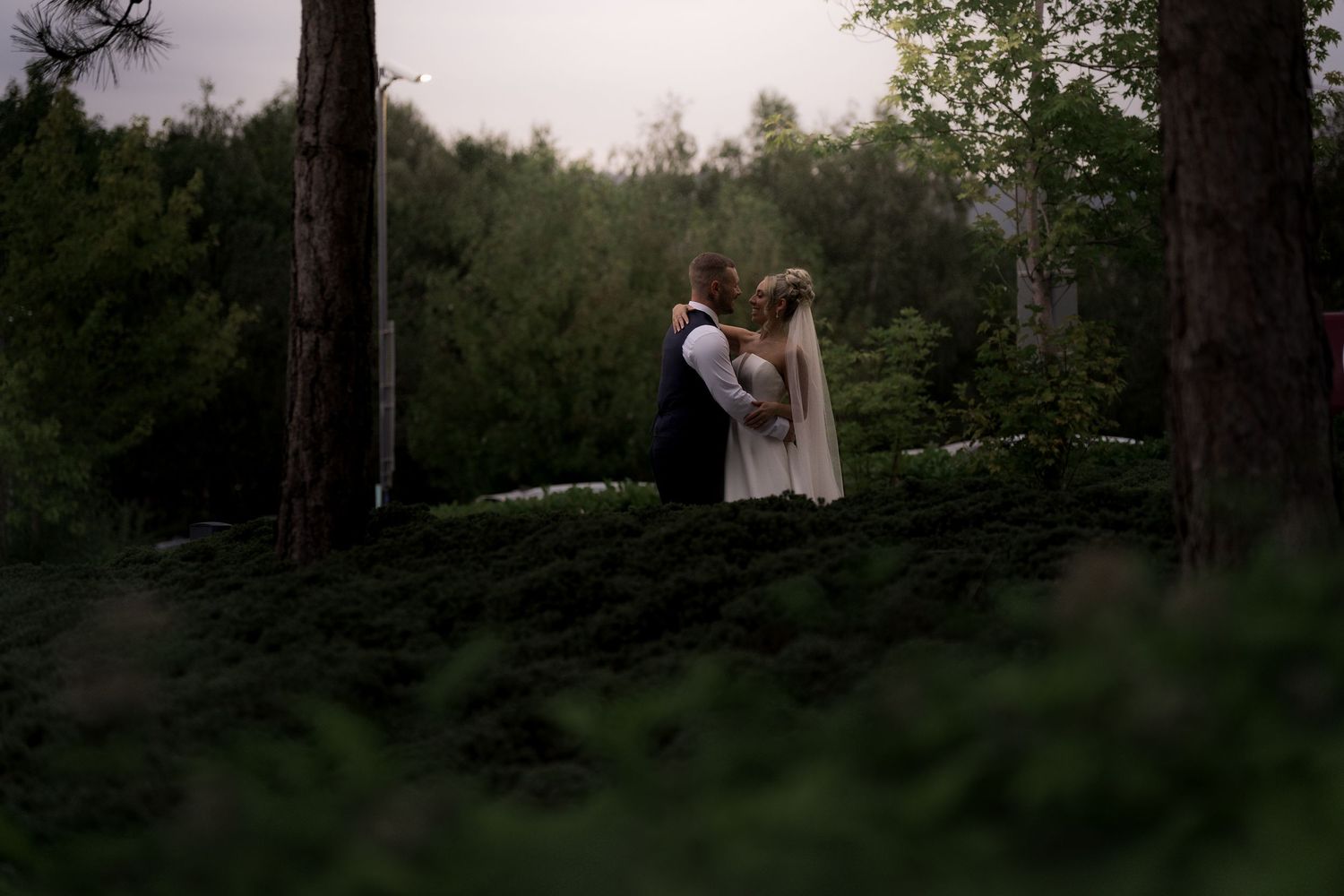 Romantic forest wedding photography scene with tall pine trees at dusk.