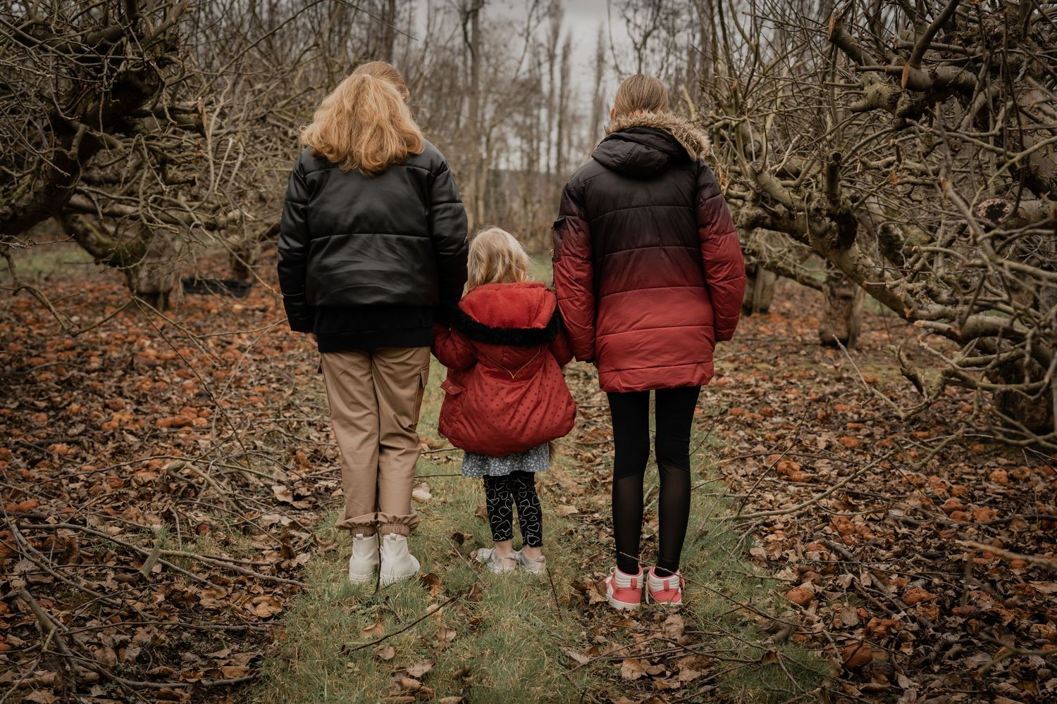 Three people photographed from behind walking on a leaf-covered path in autumn.