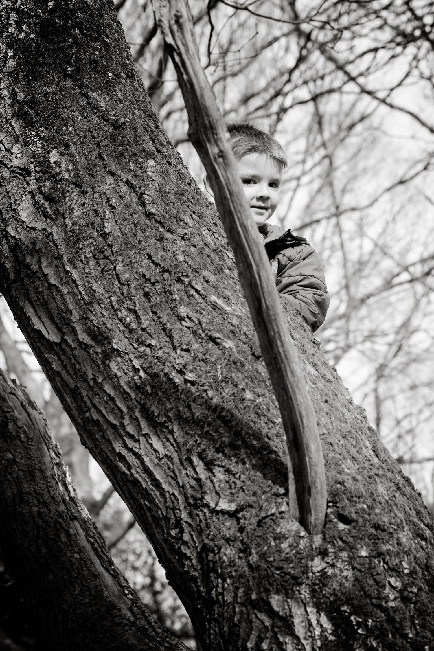 Black and white close-up of a child peeking from behind a large tree trunk.