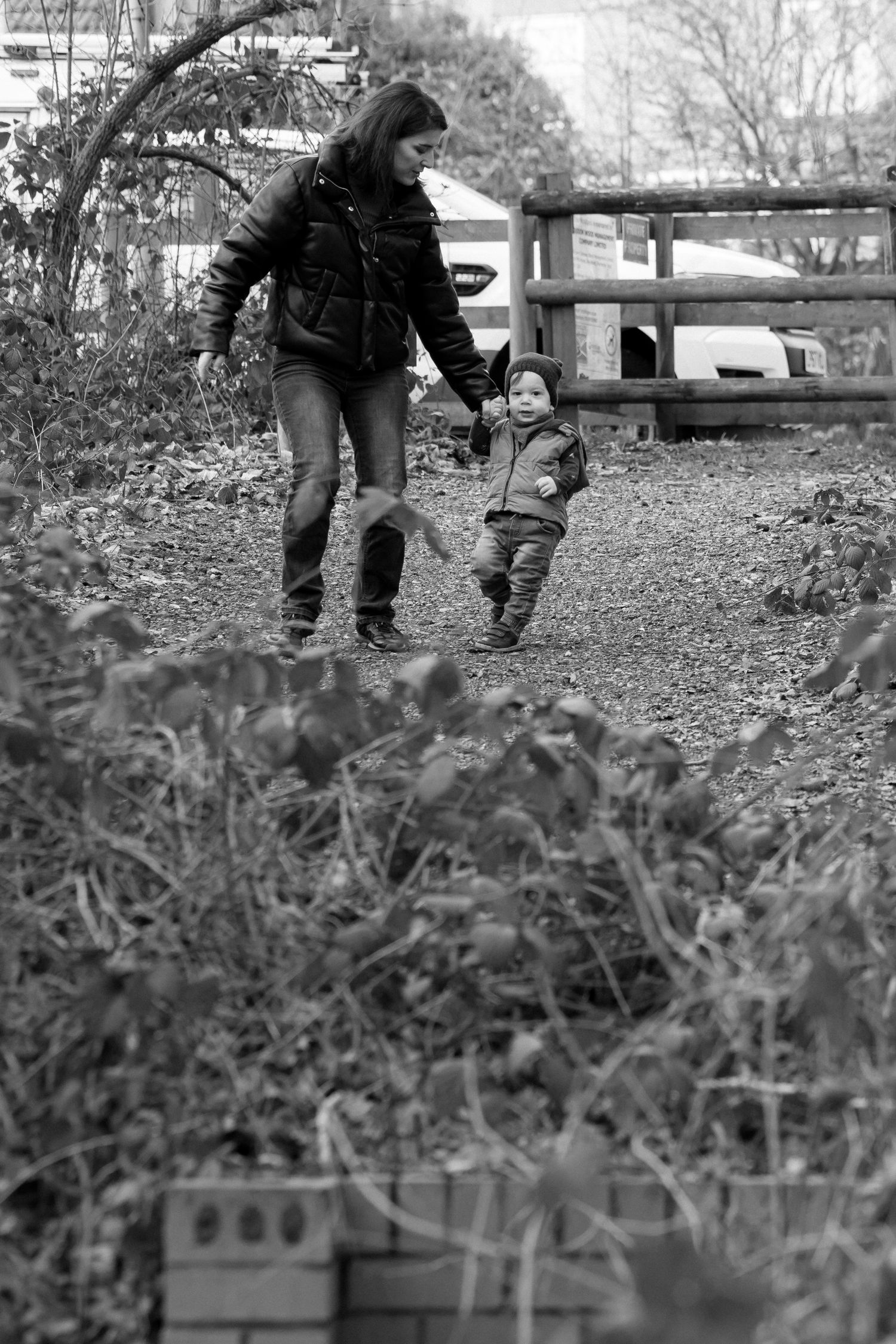 Black and white image of a winter walk along a rural path with fencing.