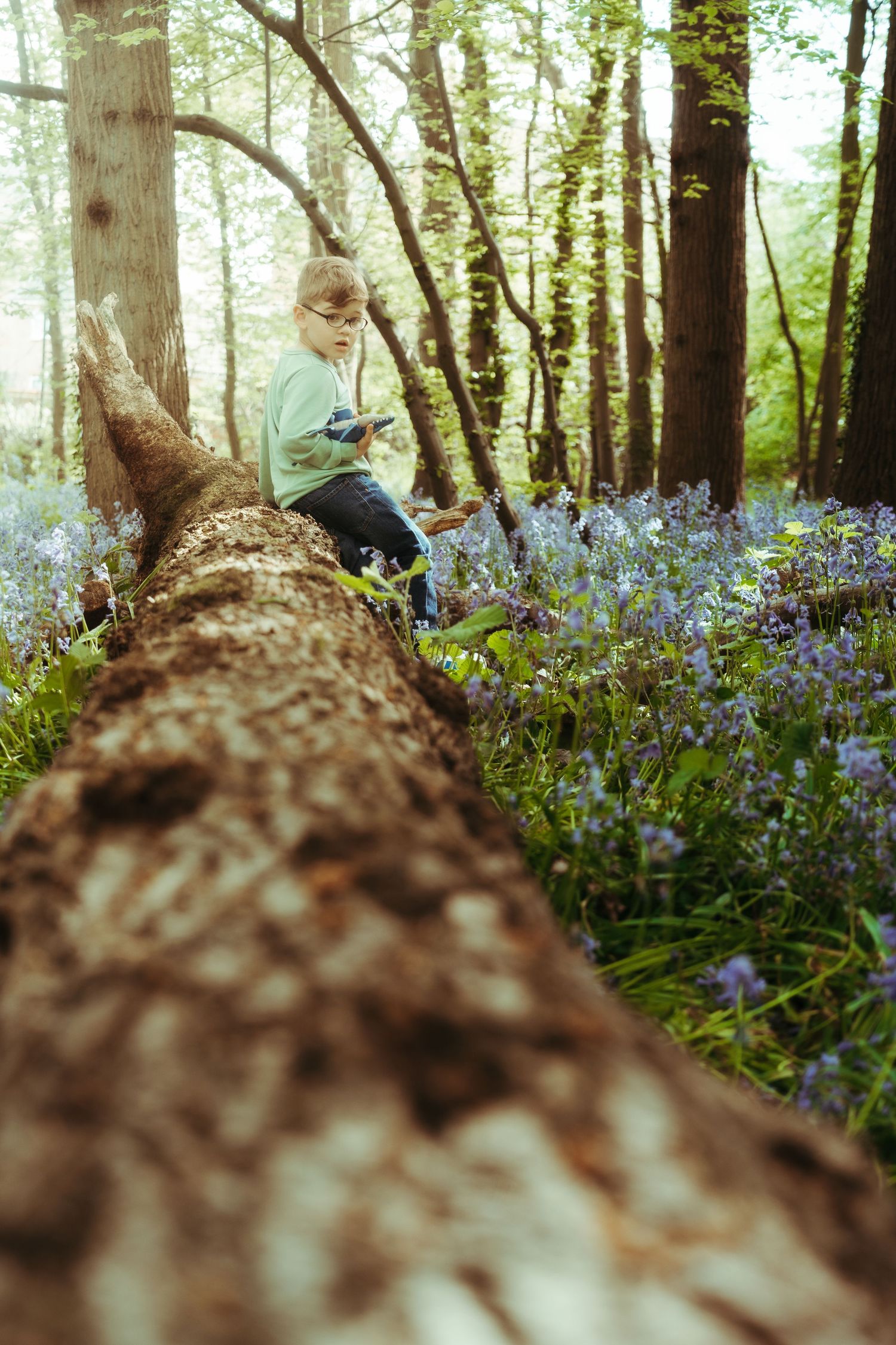 Low-angle view of a forest floor covered in bluebells with figures in the background.