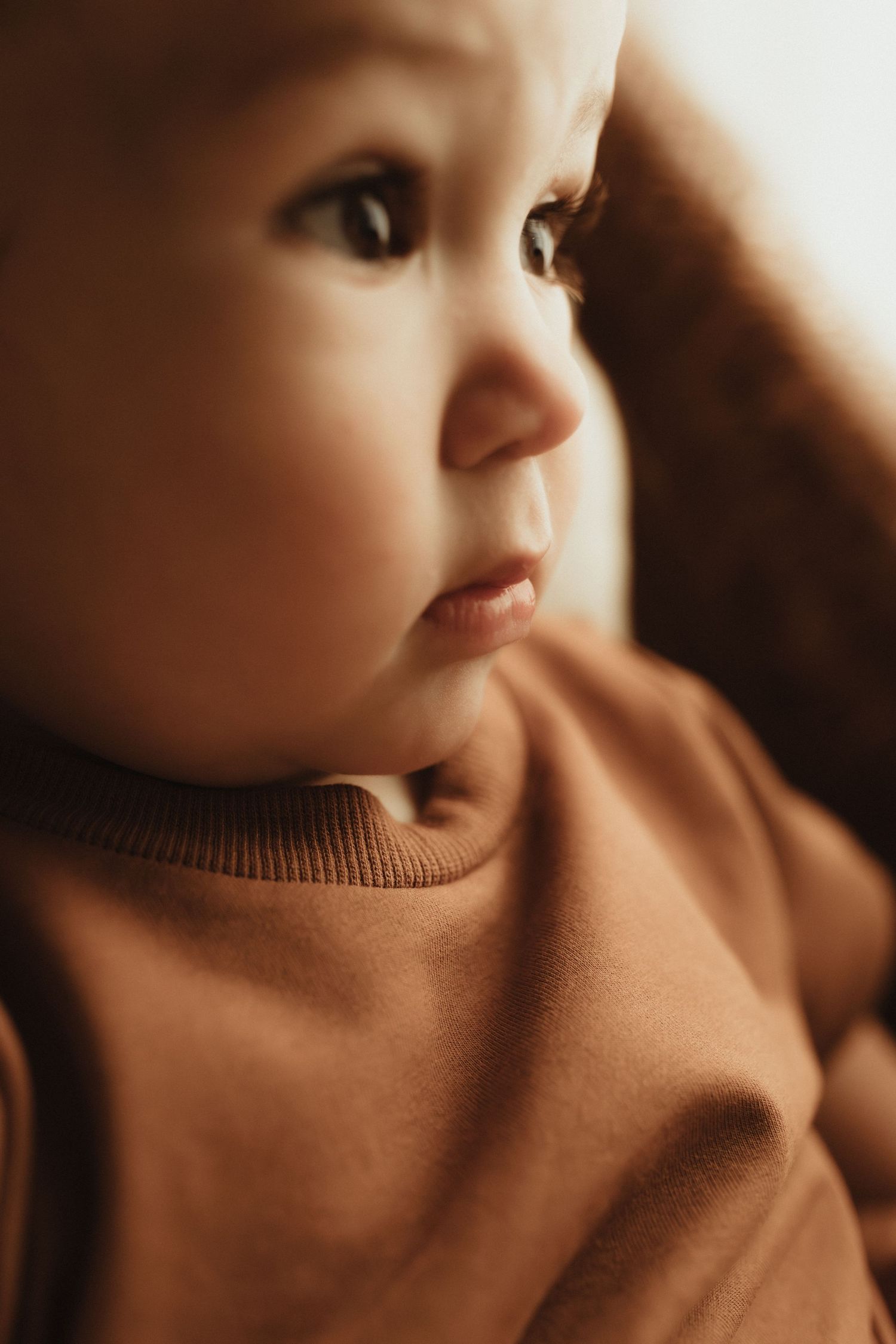 Close-up artistic portrait of a baby wearing a brown sweater in soft natural lighting.