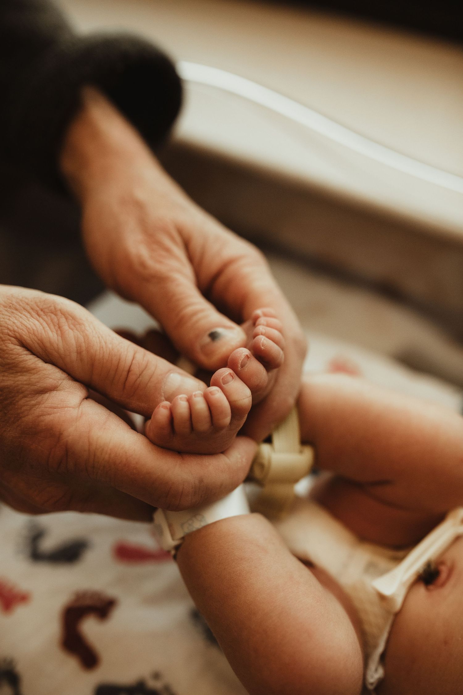 Hands holding and gently examining a tiny baby's feet in a warm, softly lit room.
