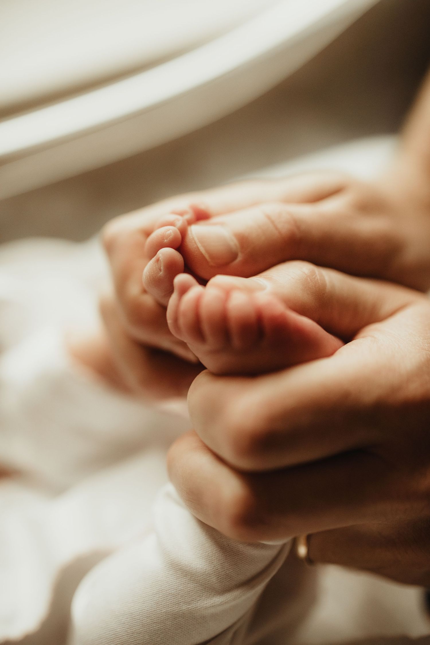 Close-up shot of gentle adult hands holding tiny baby feet against soft white fabric in warm lighting.