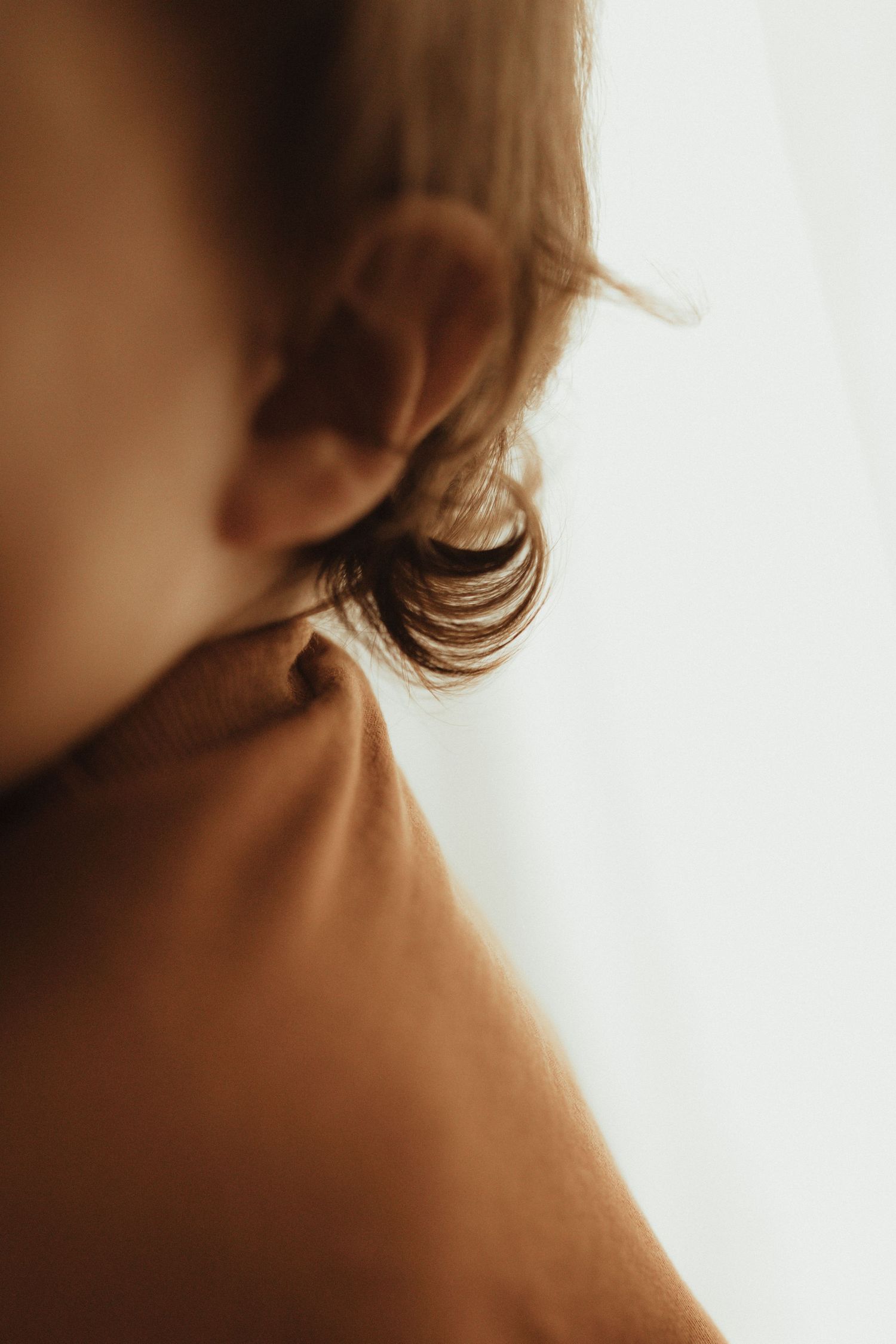 Abstract close-up photograph showing soft brown and beige tones with gentle curves and blurred edges in artistic composition.