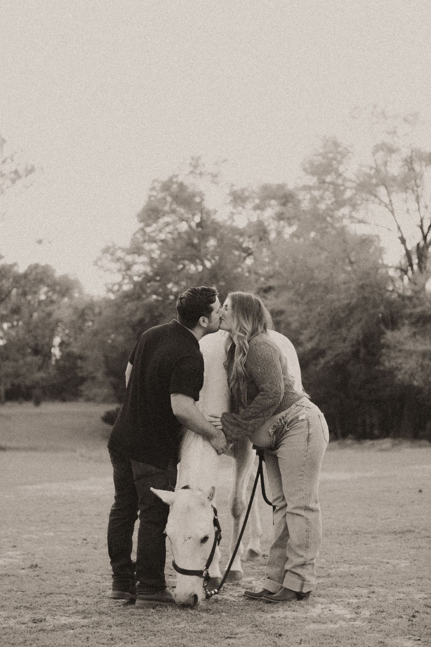 A black and white photo sequence shows a heartwarming moment between people and a white horse in a field.