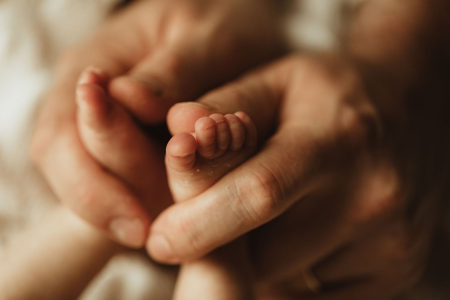 Close-up of a newborn baby's tiny feet cradled gently in an adult's hands.