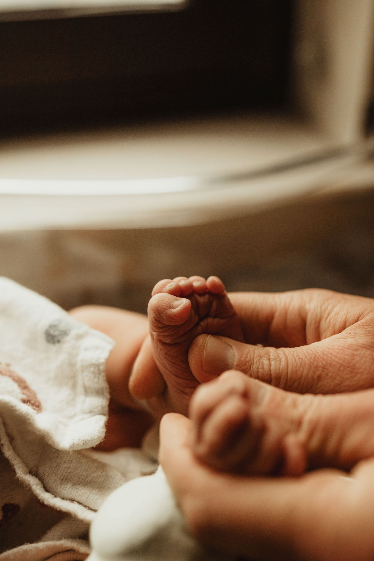 An adult gently holds a newborn baby's tiny feet in their hands, wrapped in a soft white blanket near a window.