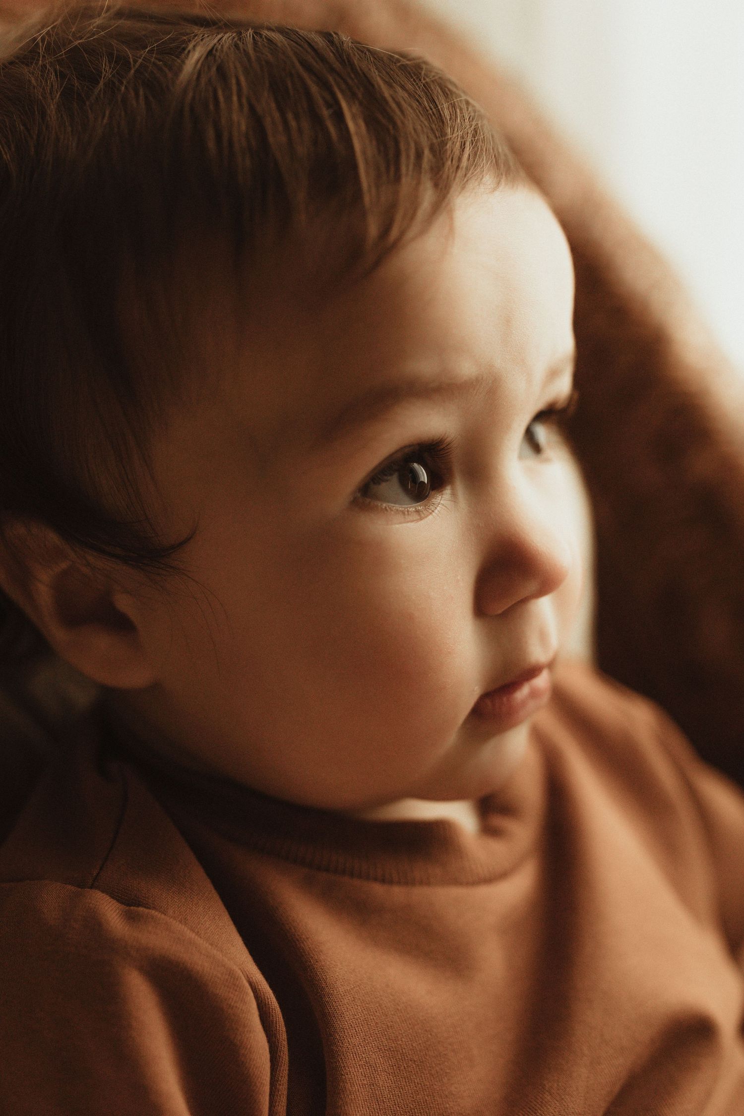 A series of close-up profile shots showing a child in a brown sweater gazing upward in warm lighting.