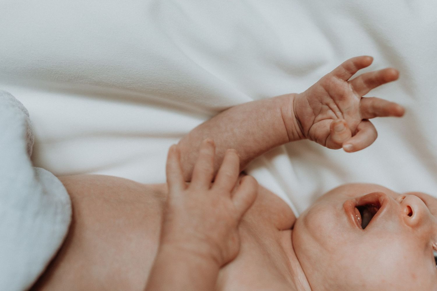 Intimate portrait of a baby's hands and face against white bedding.