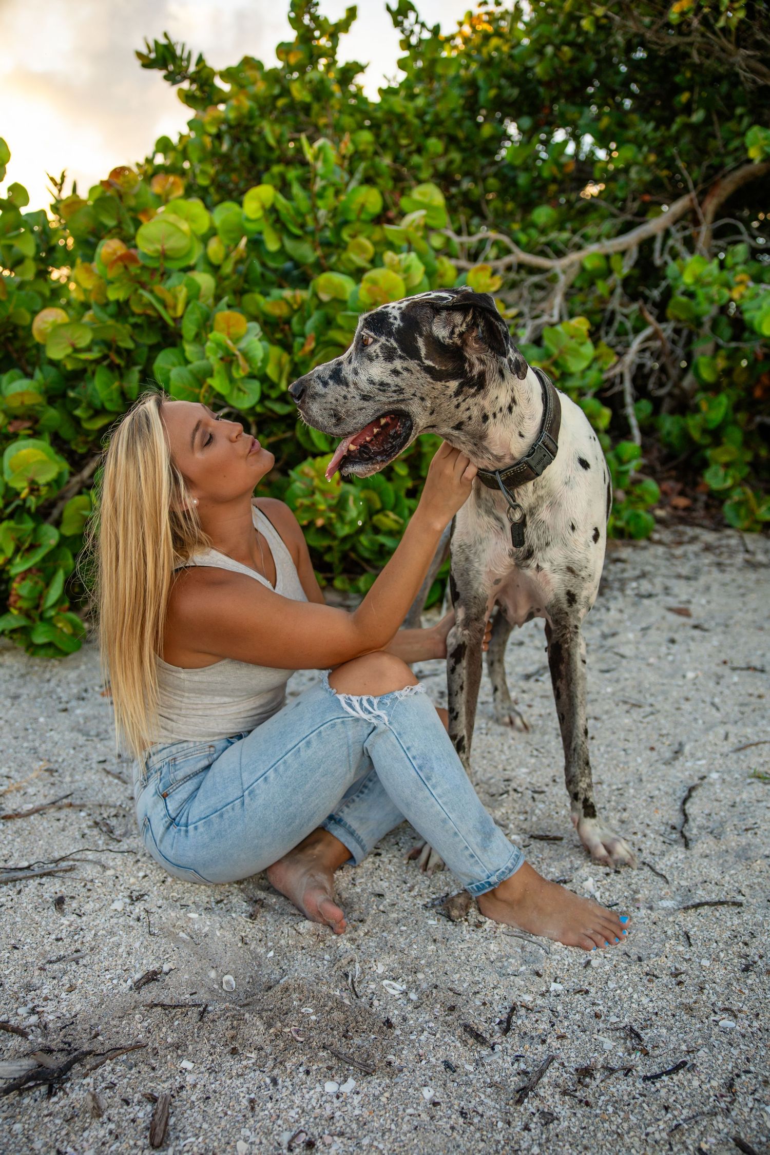 Blonde woman in jeans sitting barefoot on beach sand affectionately petting her Great Dane dog.