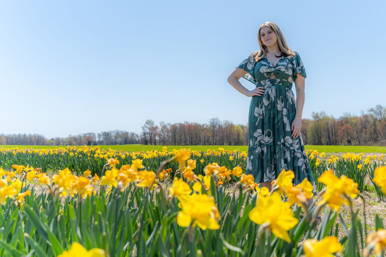 Woman in floral dress standing in a vibrant yellow daffodil field under a clear blue sky.