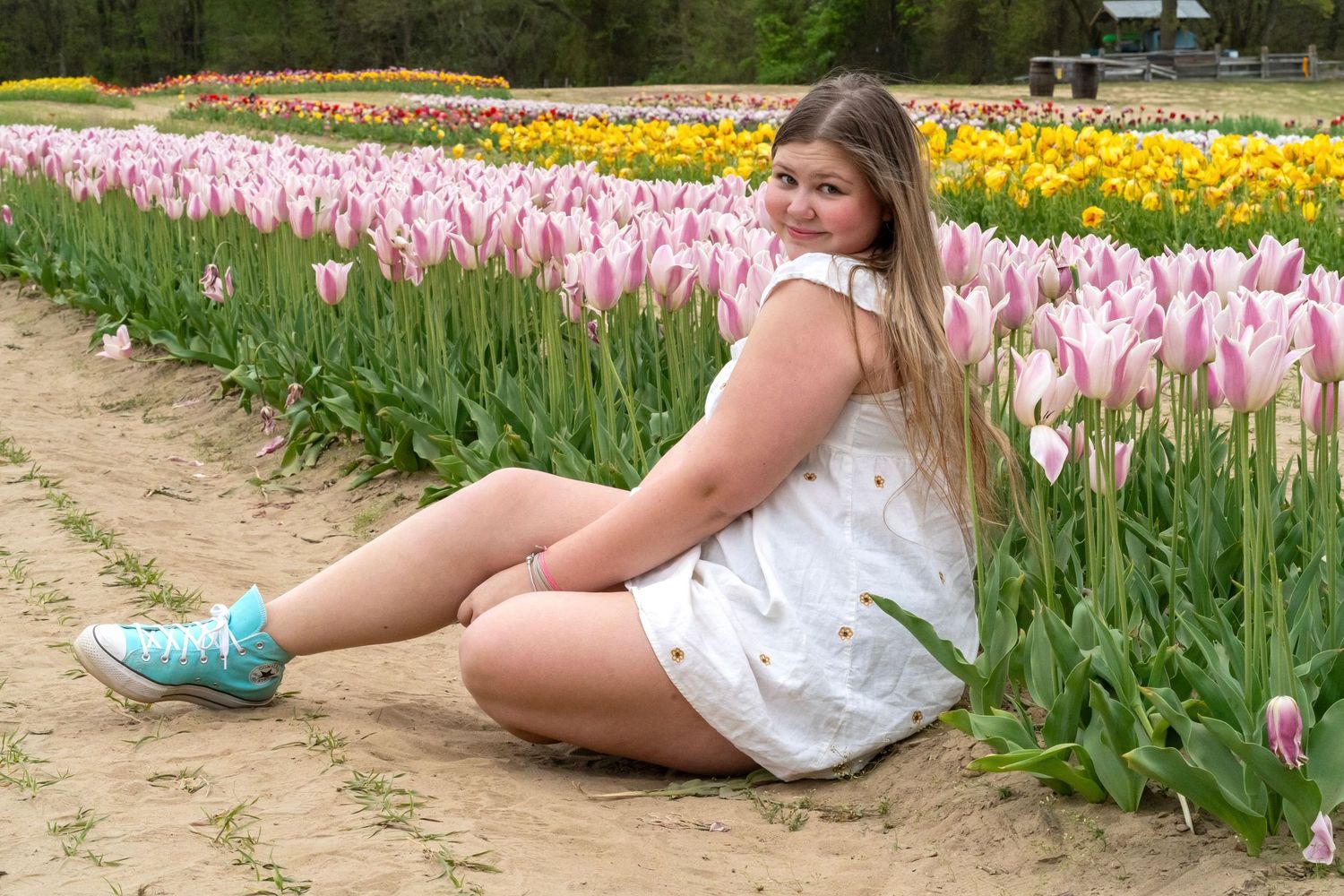 Pink tulip garden photoshoot showing flowers and paths between flower beds.