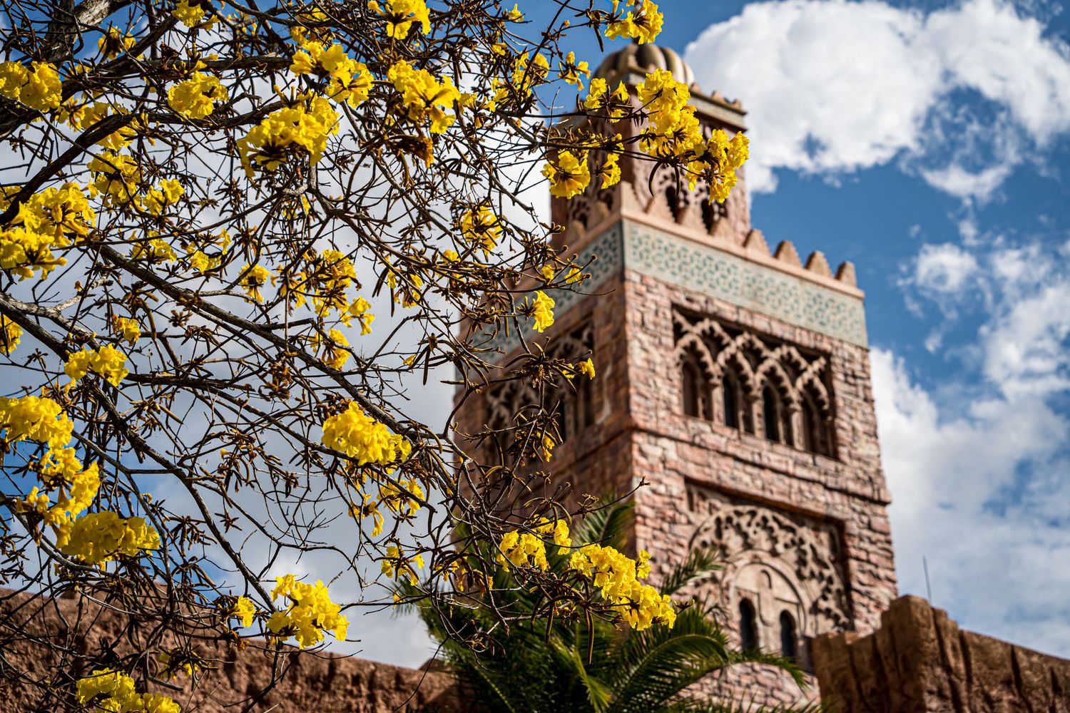 A medieval stone castle tower rises against a blue sky with yellow fall foliage framing the view.