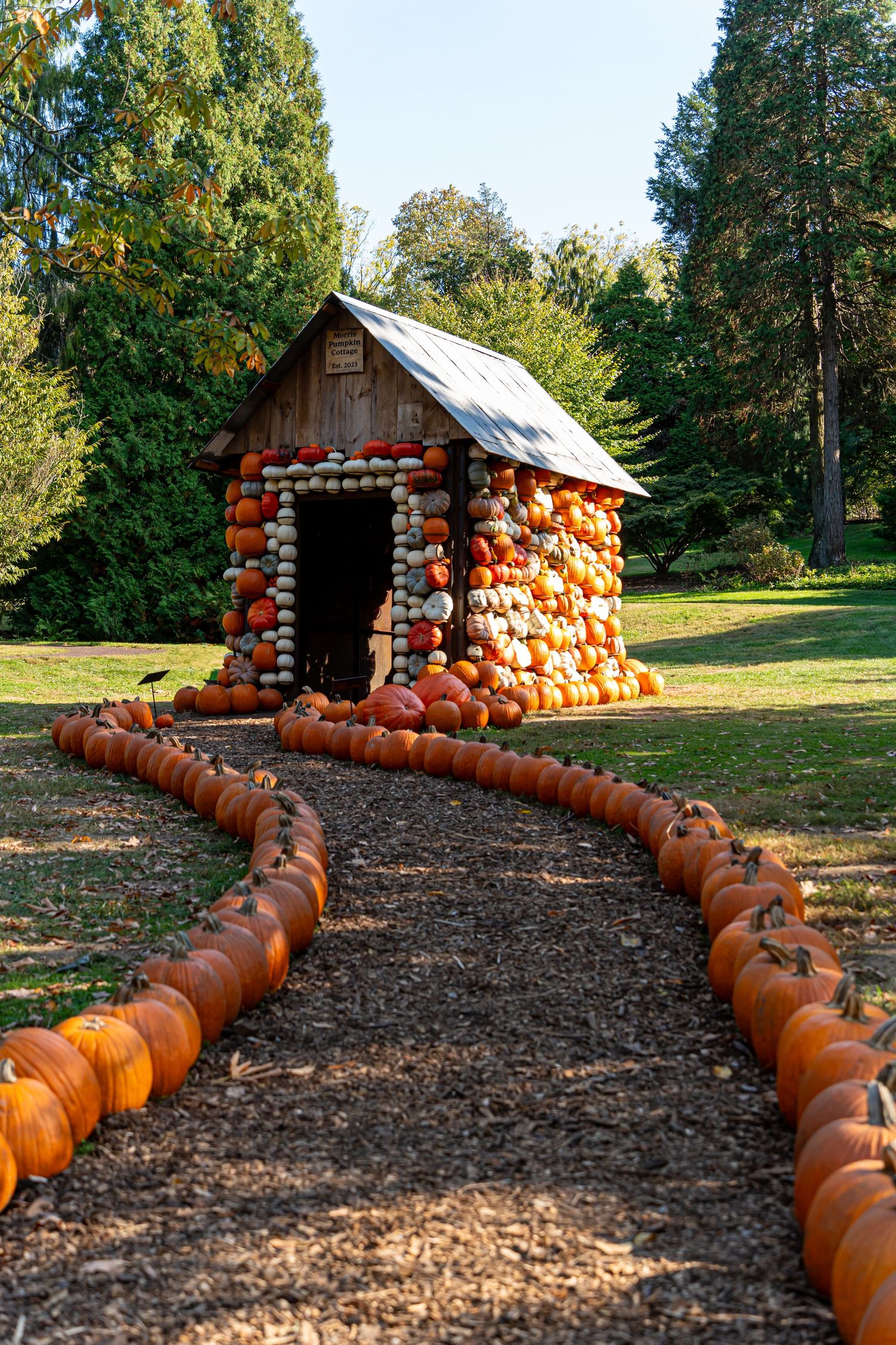 A path lined with pumpkins leads to a small house covered entirely in pumpkins in a wooded garden setting.