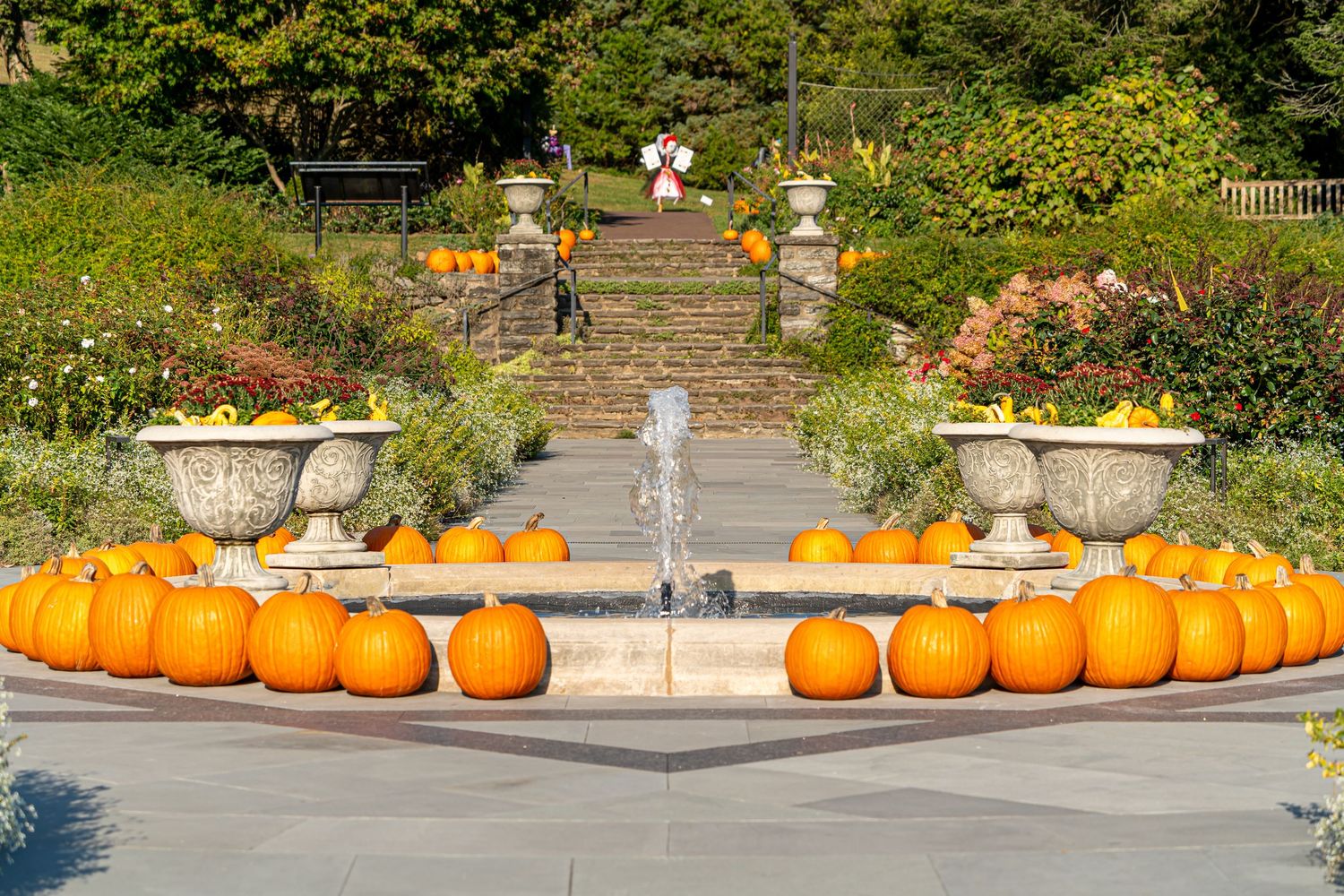 Orange pumpkins line stone garden steps decorated with fall floral arrangements in decorative urns at an outdoor venue.