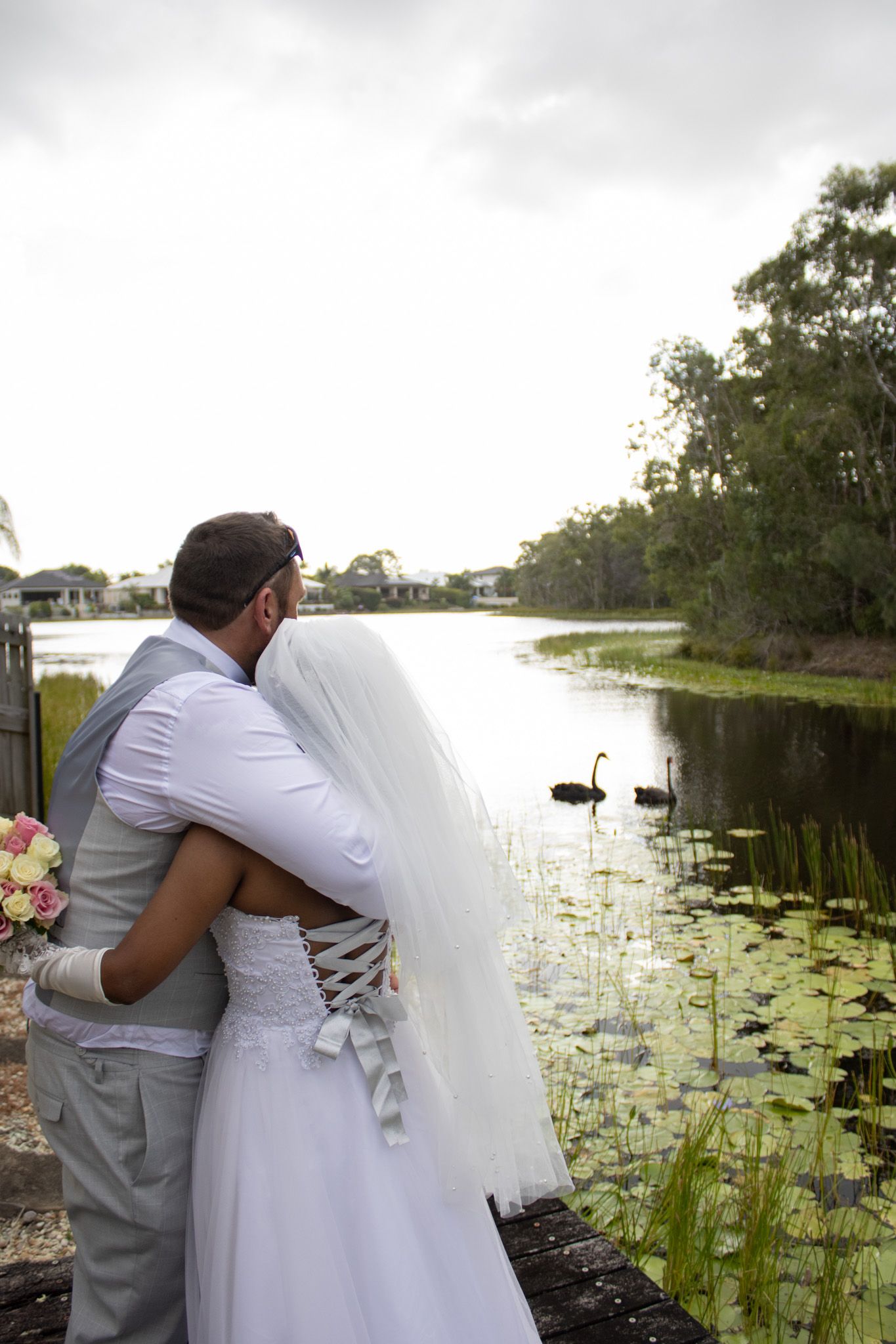Couple admiring swans swimming in lake.