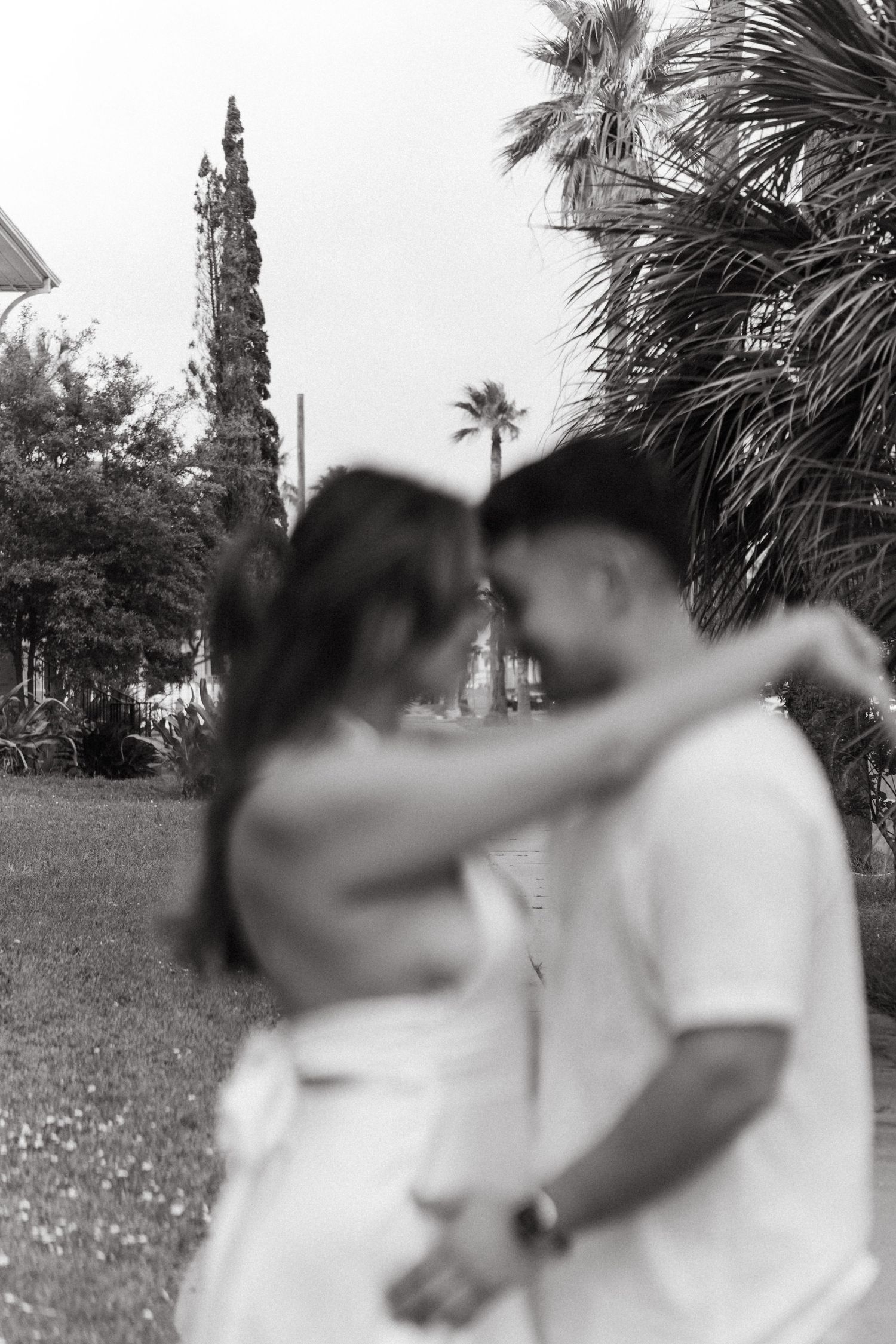 A romantic couple embraces in a black and white photo series with palm trees and a field in the background.