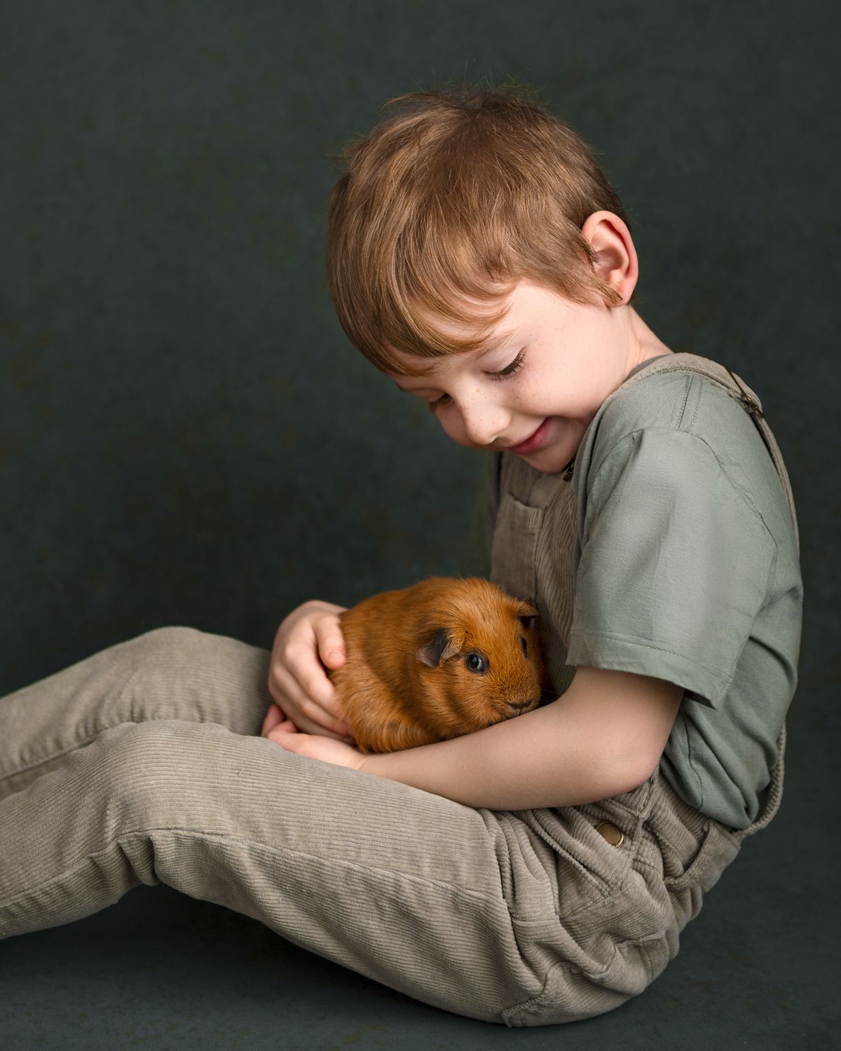 A small guinea pig rests peacefully on a gray pillow in a dark studio setting.