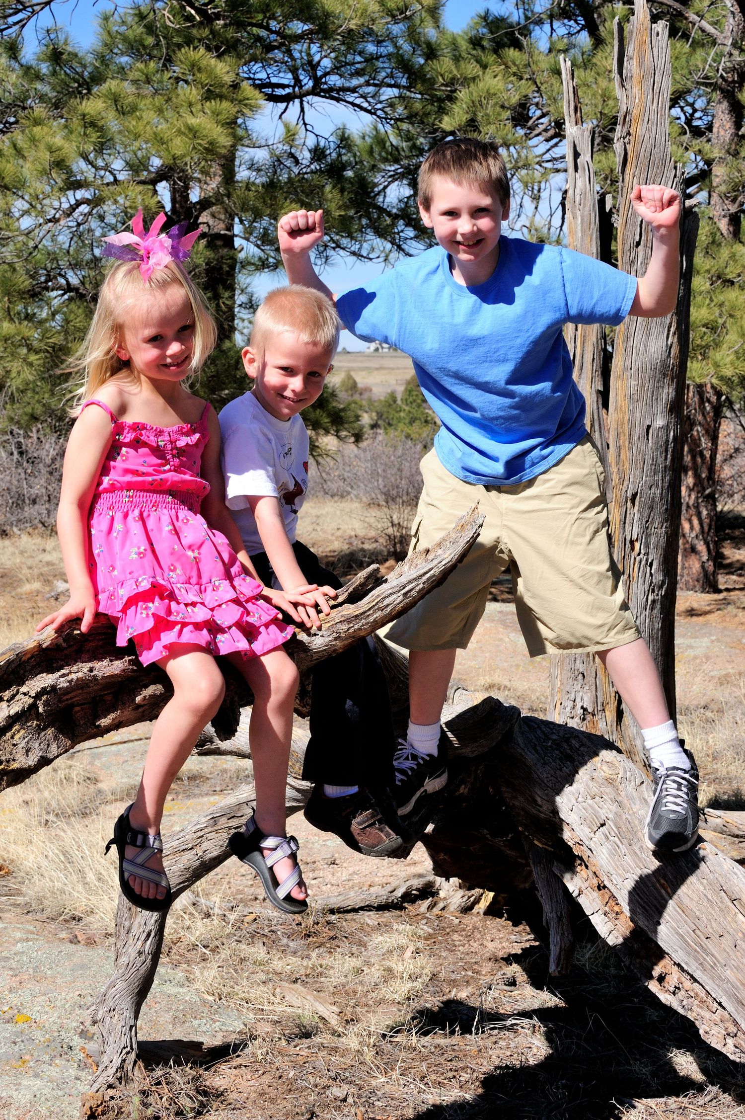 Children sit on a fallen tree trunk in an outdoor setting with pine trees in the background.
