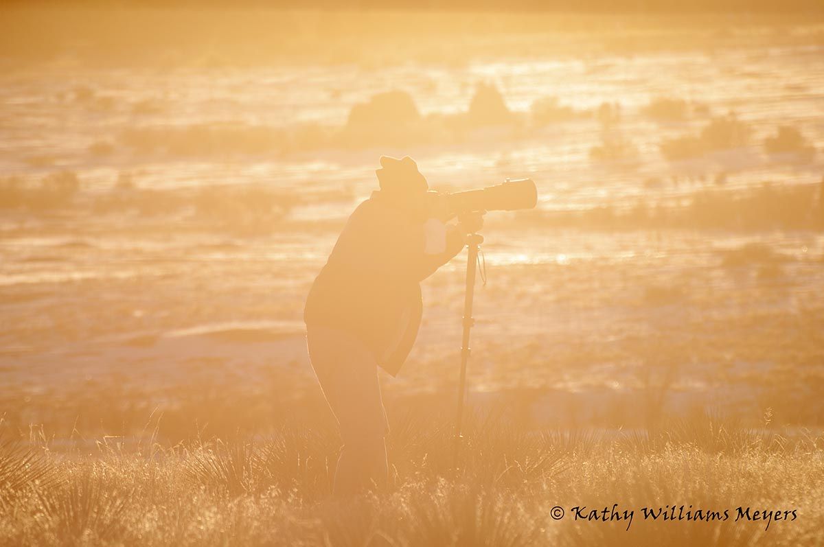 Silhouetted figure photographing during golden sunset hour.
