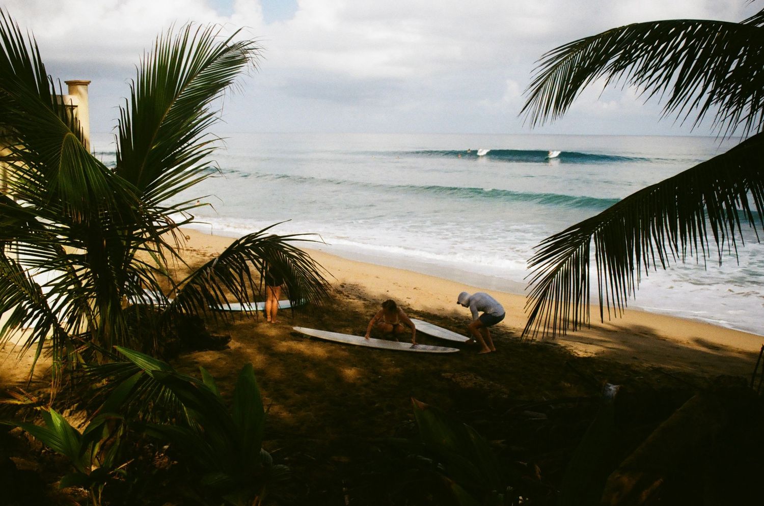 Lifestyle shot of surfers waxing boards under palm trees, shot on 35mm film in Puerto Rico