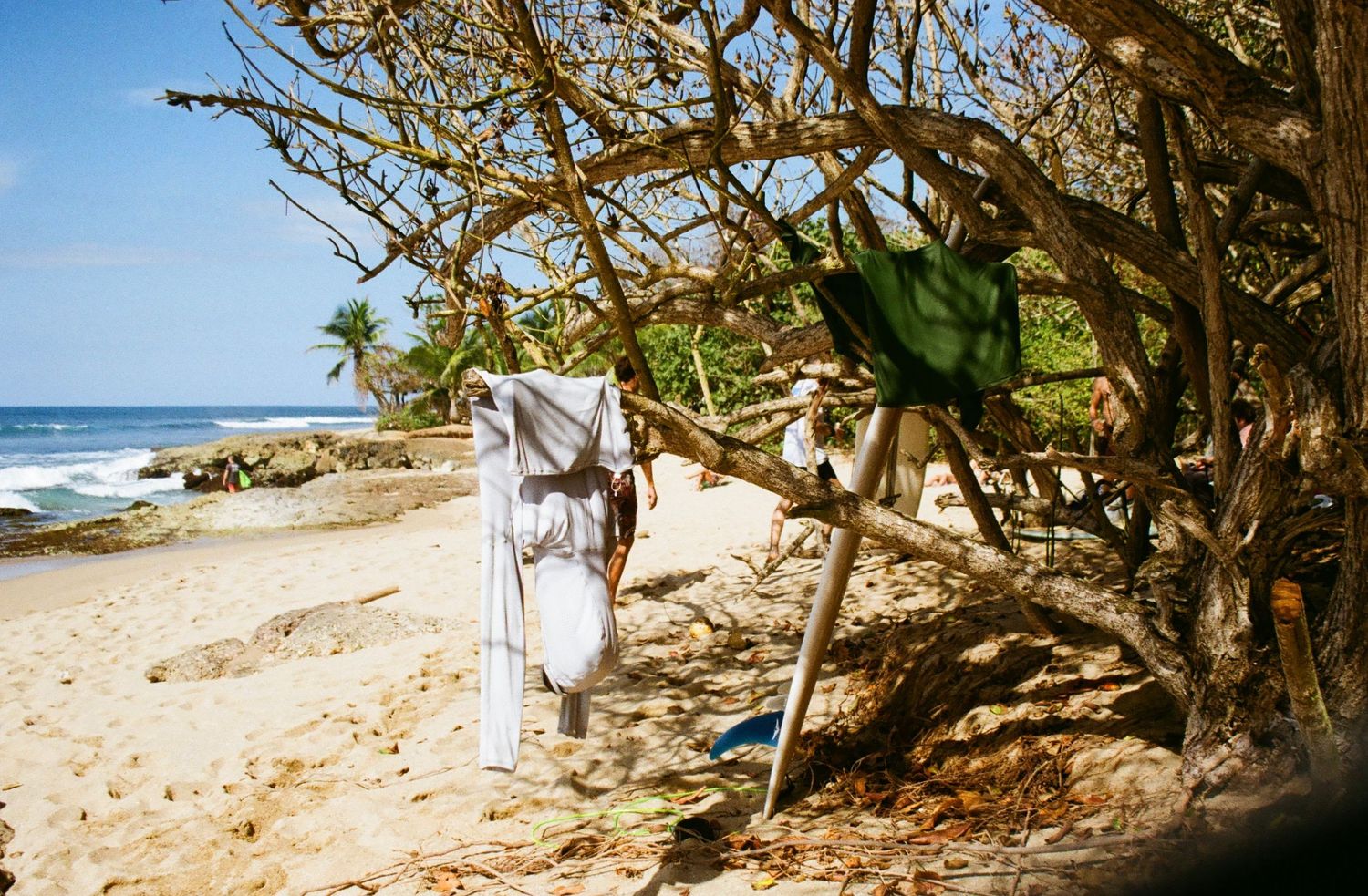 Shot of wetsuits hanging on tree limbs, shot on 35mm film in Puerto Rico