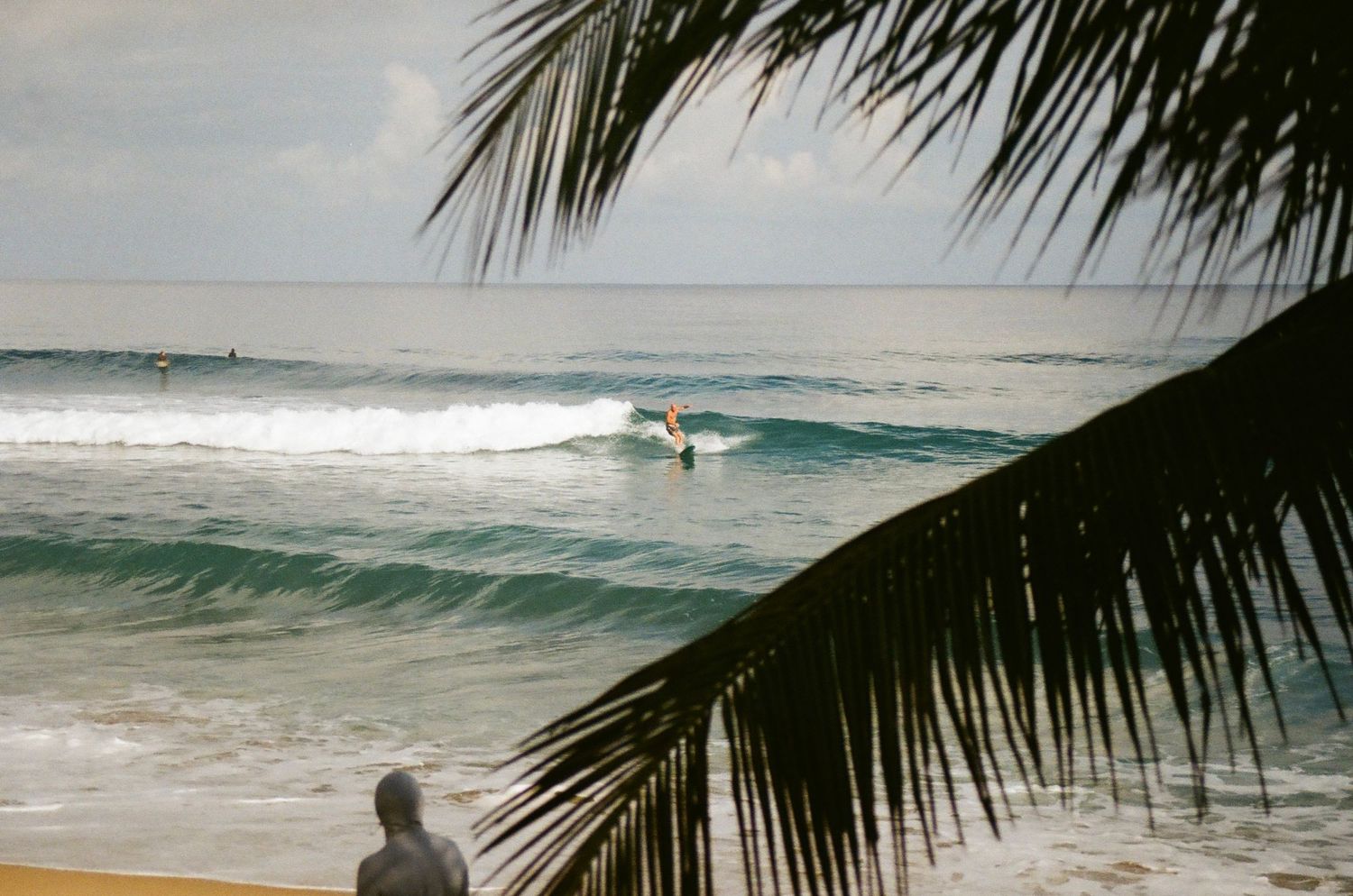A surfer rides a turquoise wave while framed by palm fronds on a tropical beach in Puerto Rico
