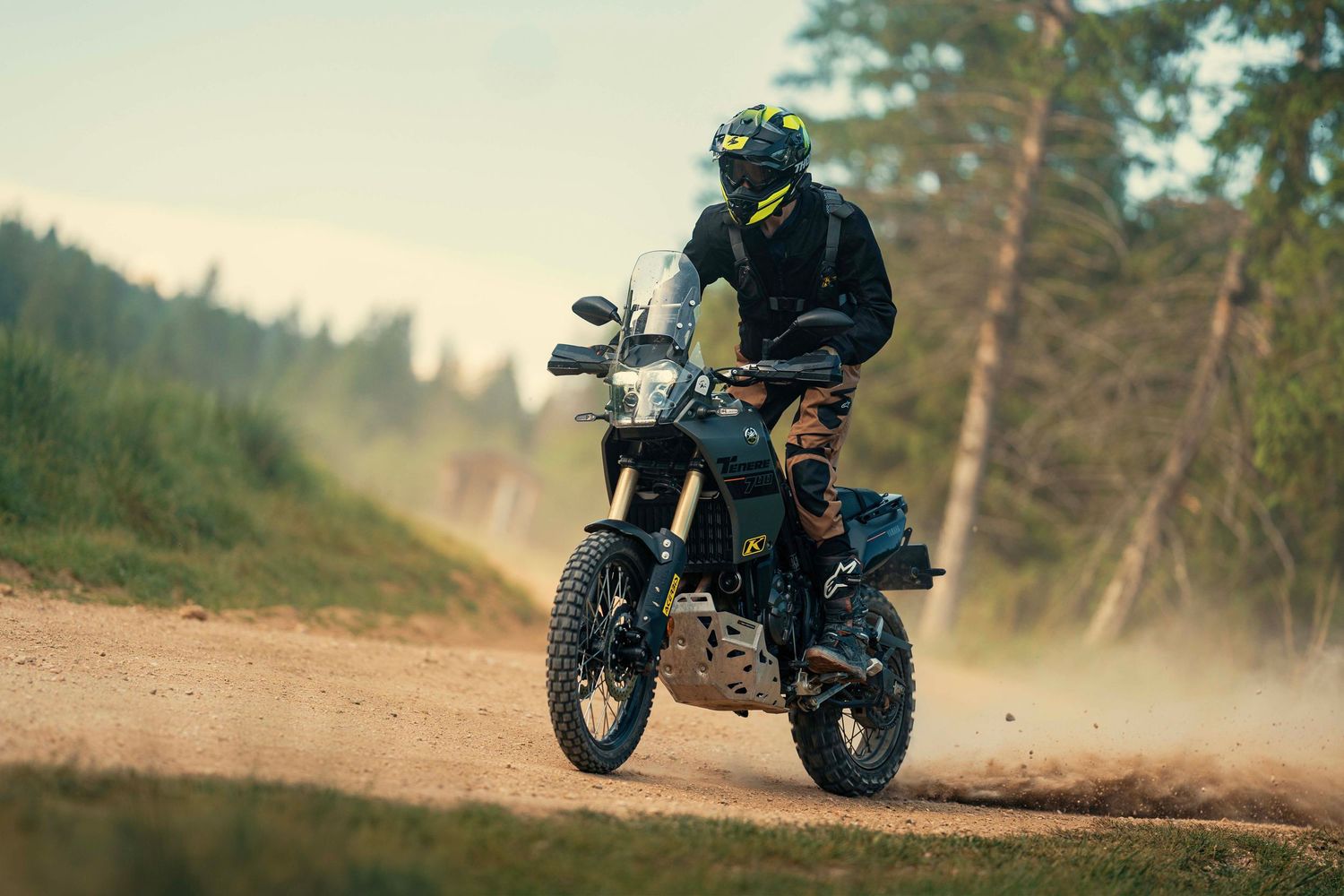 Motorcycles racing through a scenic forest road with golden sunlight filtering through trees.