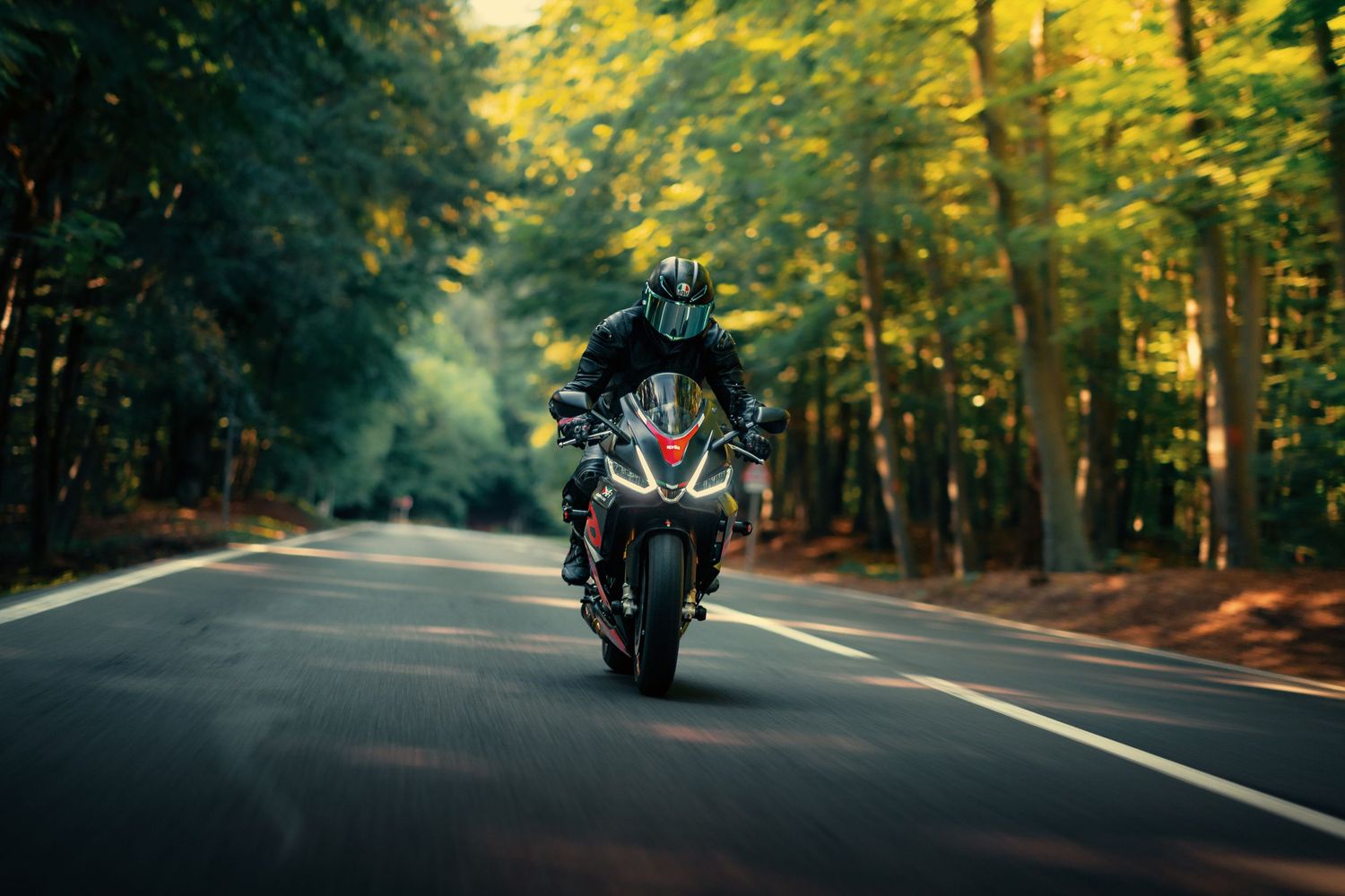 Motorcyclist riding through a winding forest road with sunlight filtering through dense green trees.